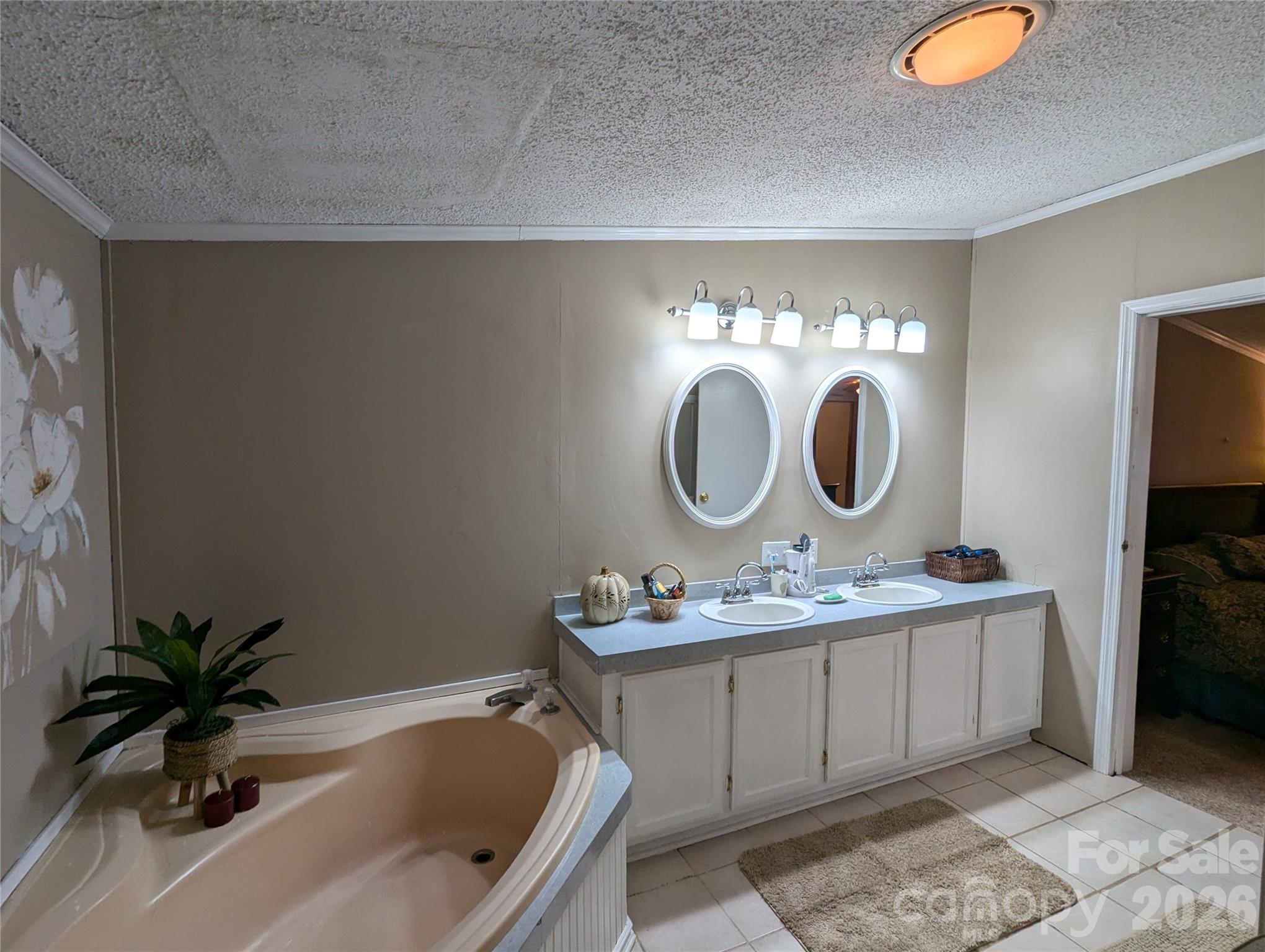 Ensuite Primary Bathroom - 6846 Potter Road, Matthews