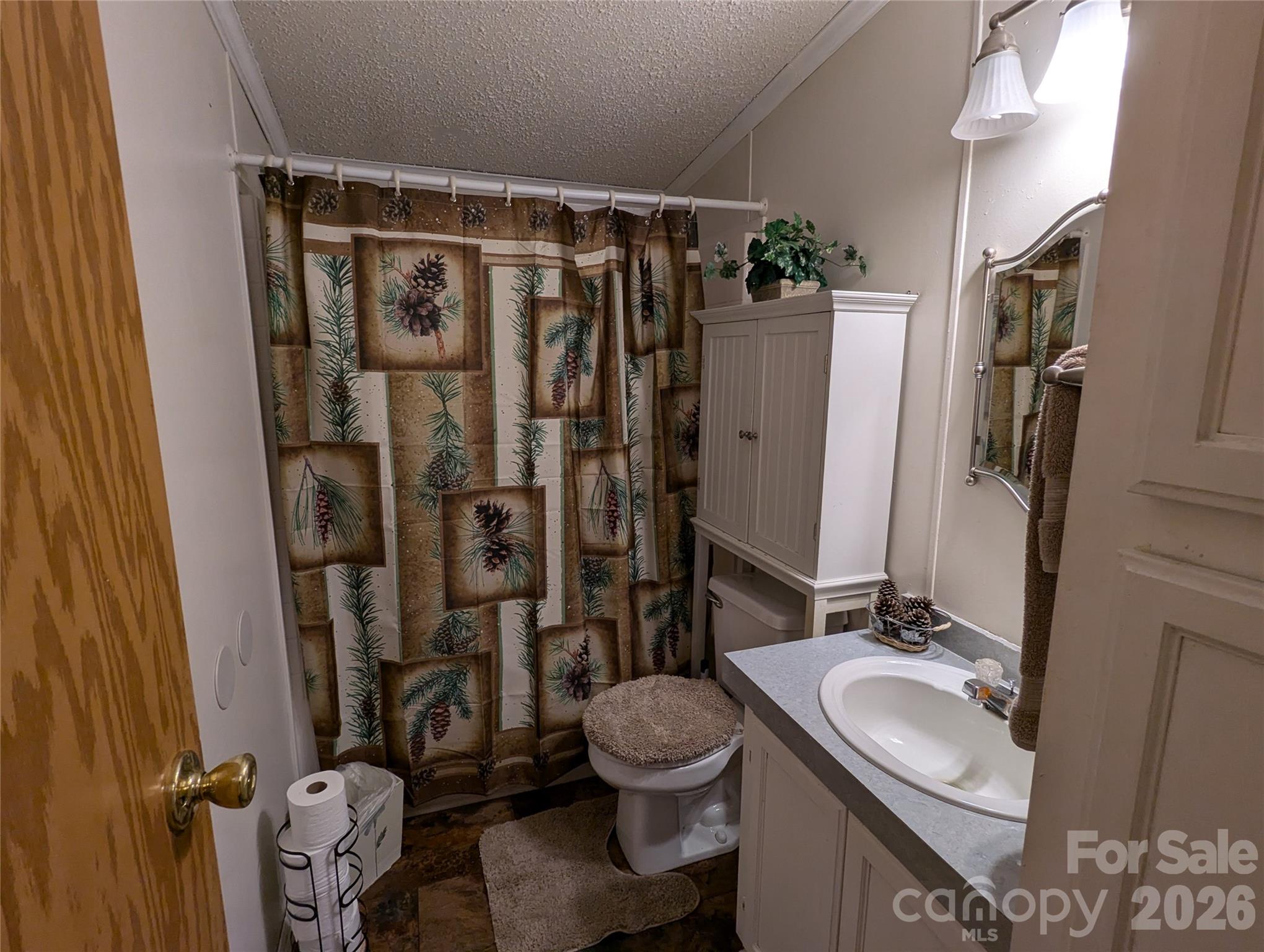 Hall Bathroom - 6846 Potter Road, Matthews