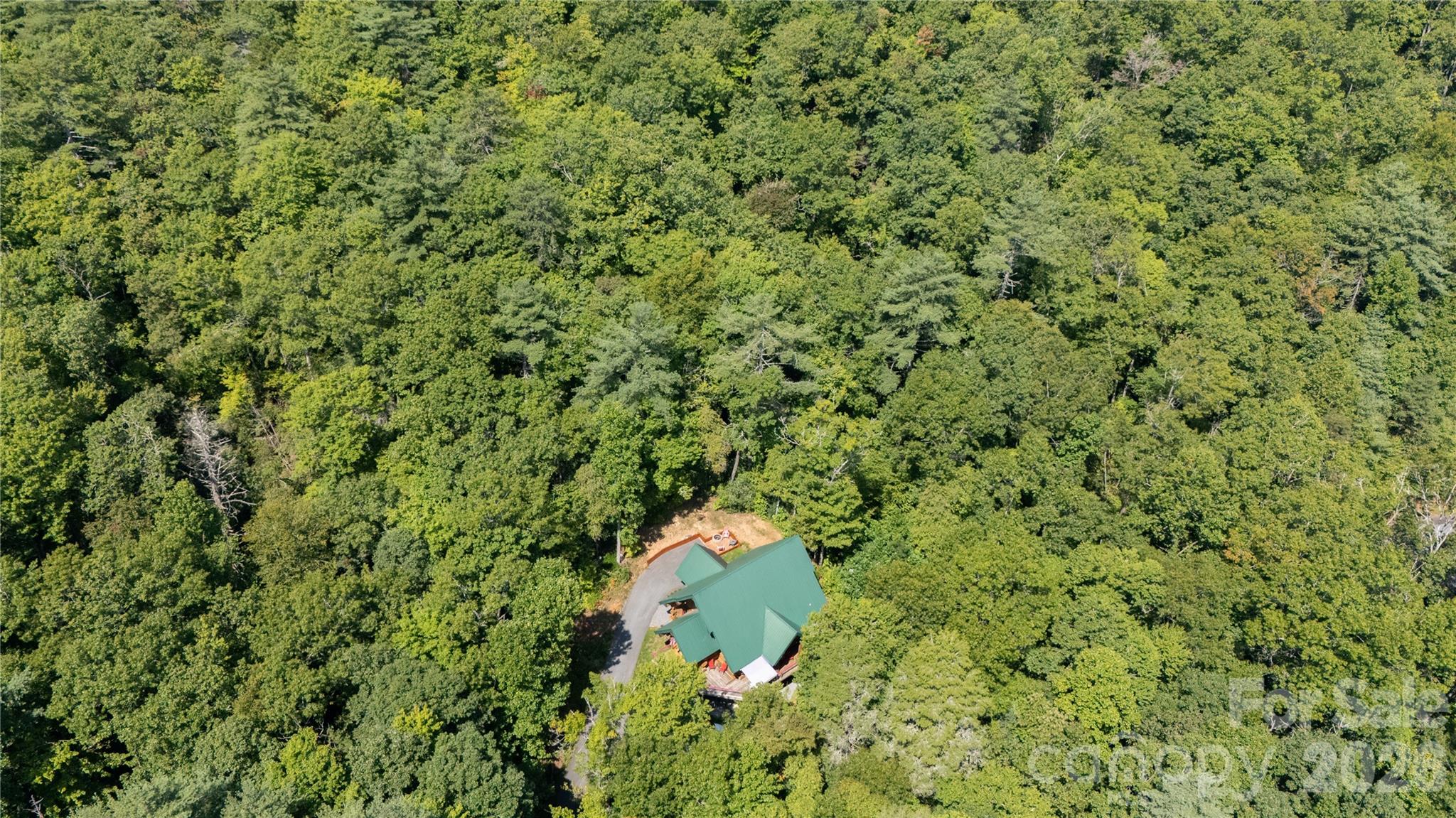 aerial view - 142 W Southwood Drive, Brevard