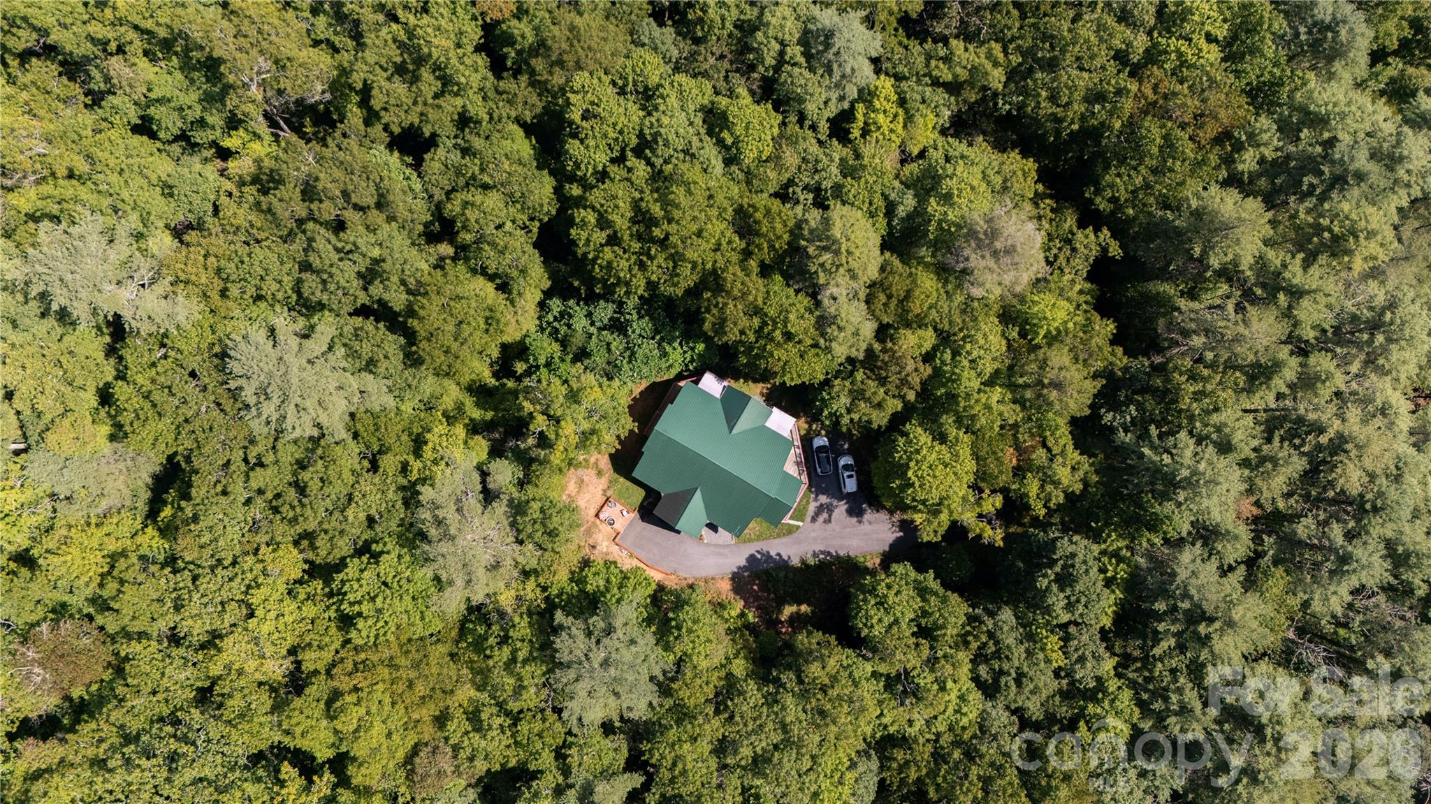 Single Family Residence at 142 W Southwood Drive, Brevard, photo 42 of 43