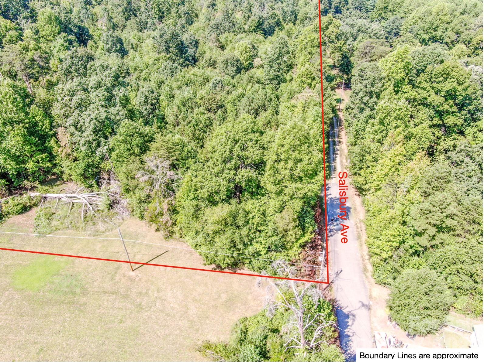 Acreage at 873 Salisbury Avenue, Statesville, photo 5 of 13
