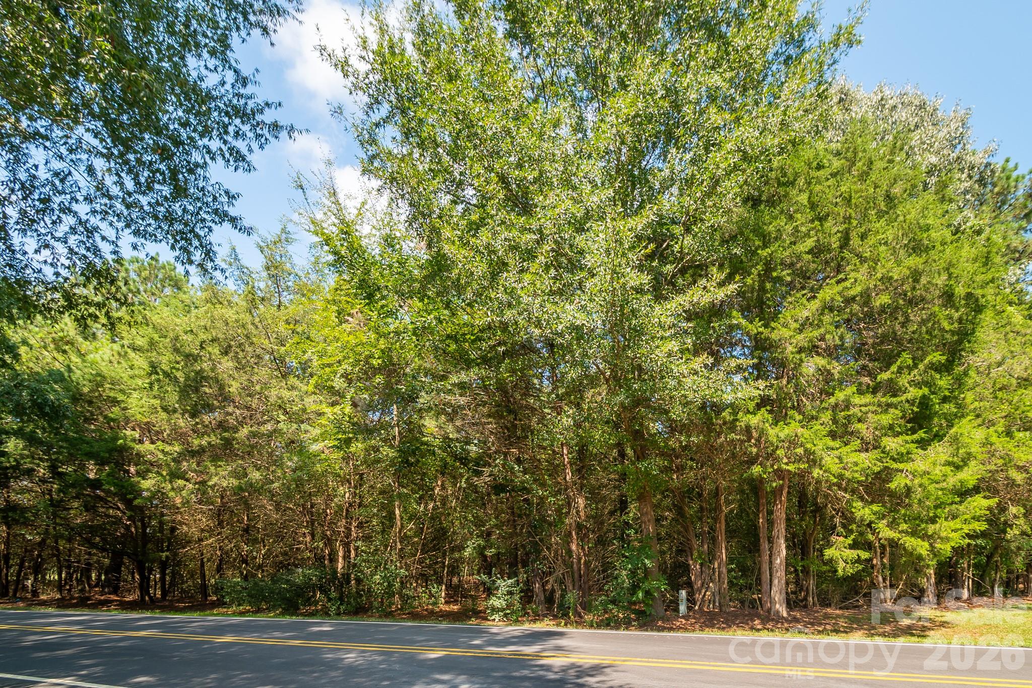 Level, wooded acreage - 0 Harkey Road, Waxhaw