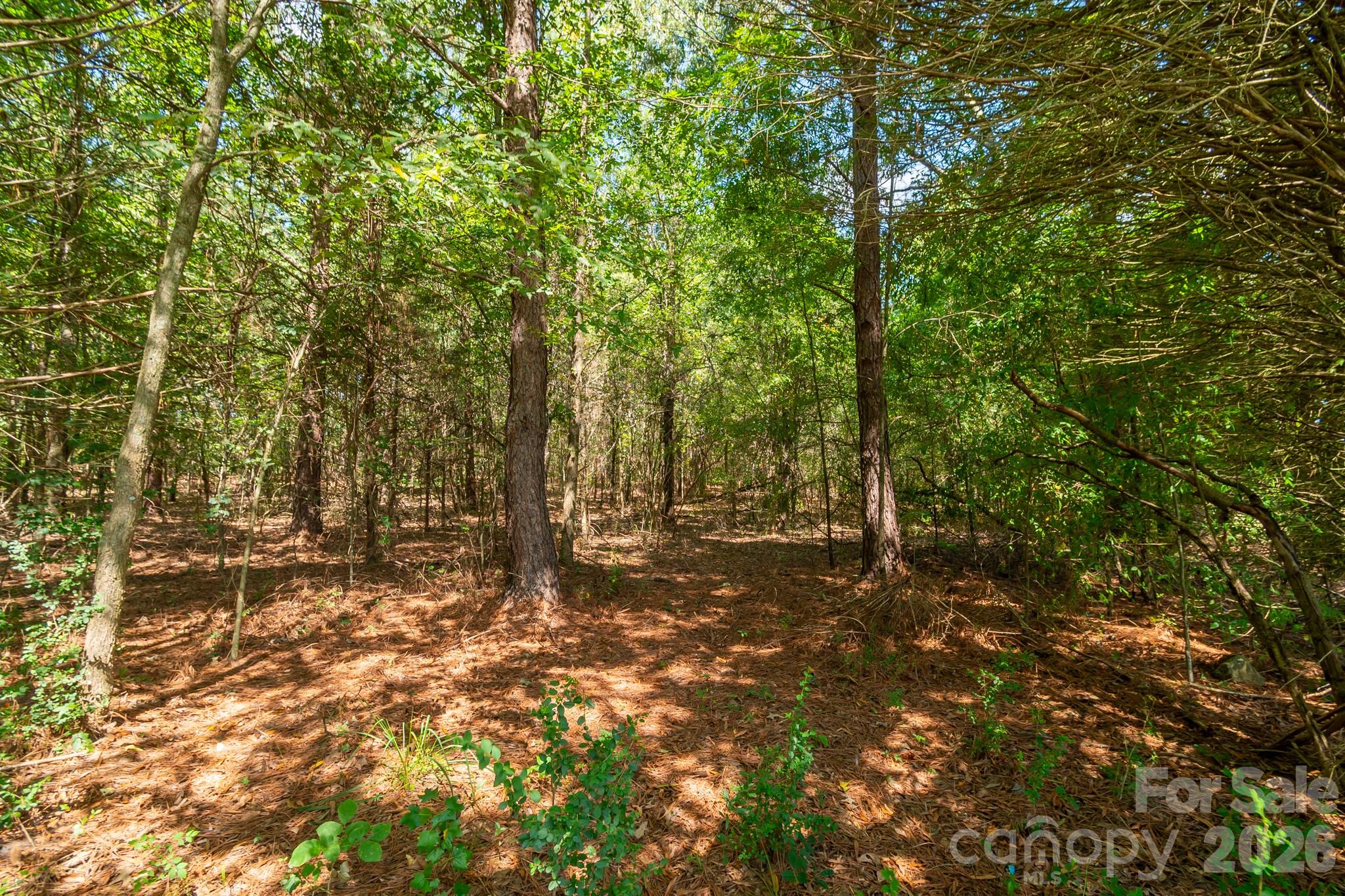 Acreage at 0 Harkey Road, Waxhaw, photo 16 of 32