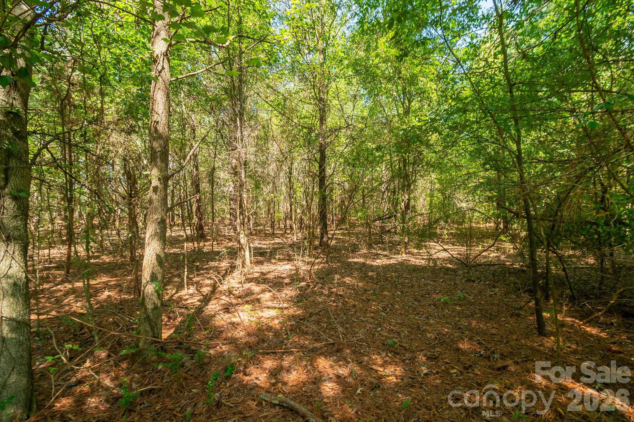 Acreage at 0 Harkey Road, Waxhaw, photo 17 of 32