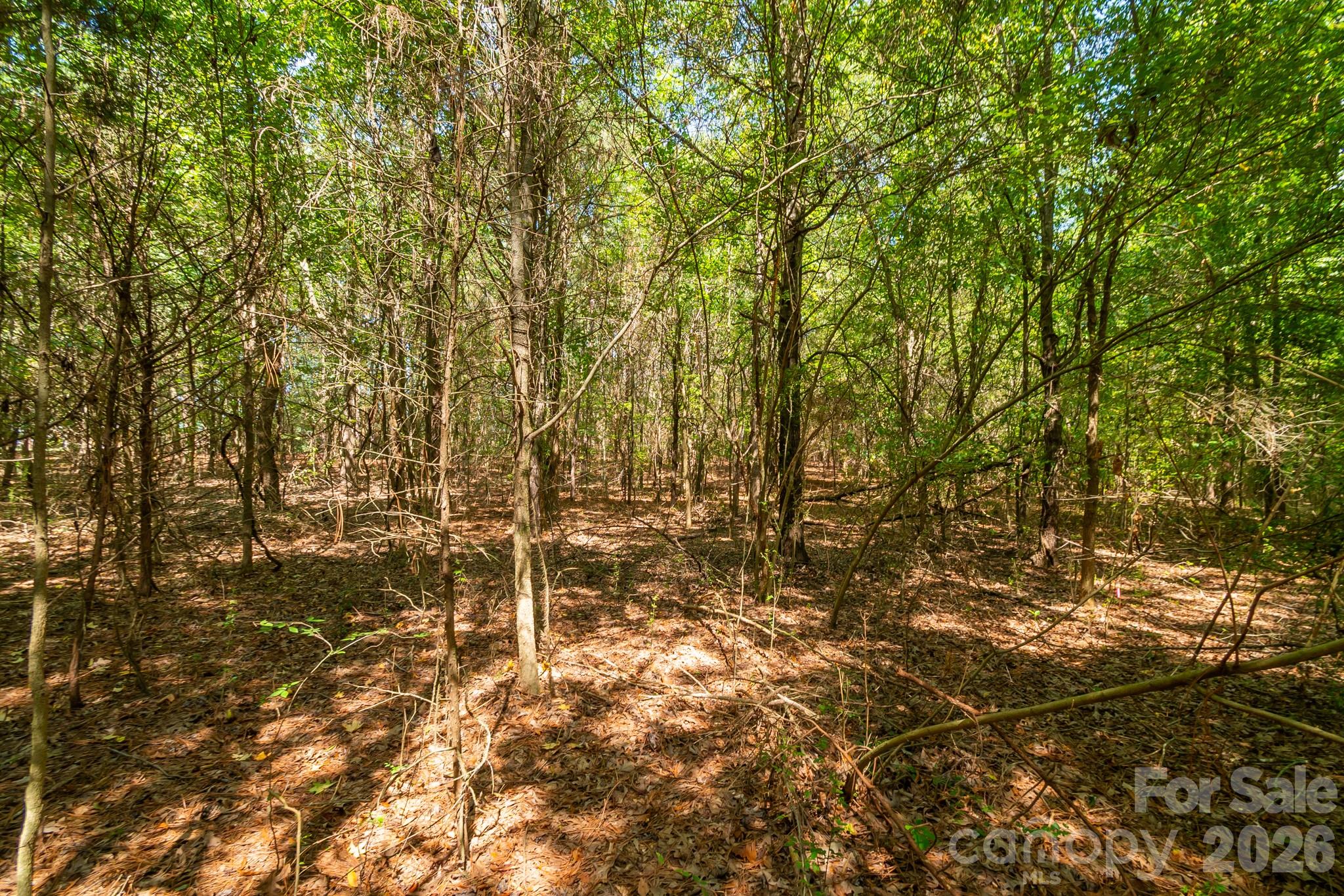 Acreage at 0 Harkey Road, Waxhaw, photo 18 of 32