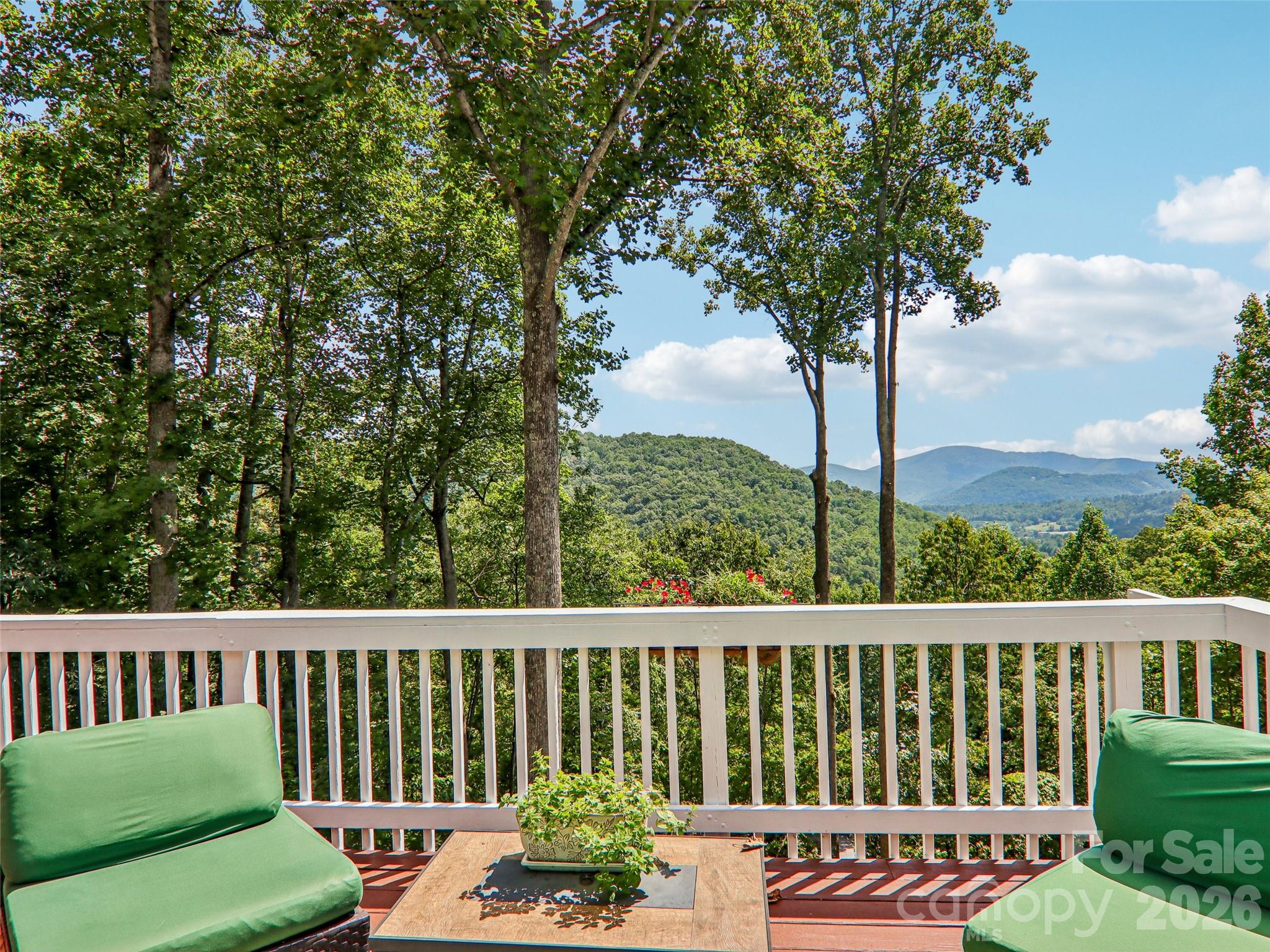 More views - 16 Hobe Crest, Hendersonville