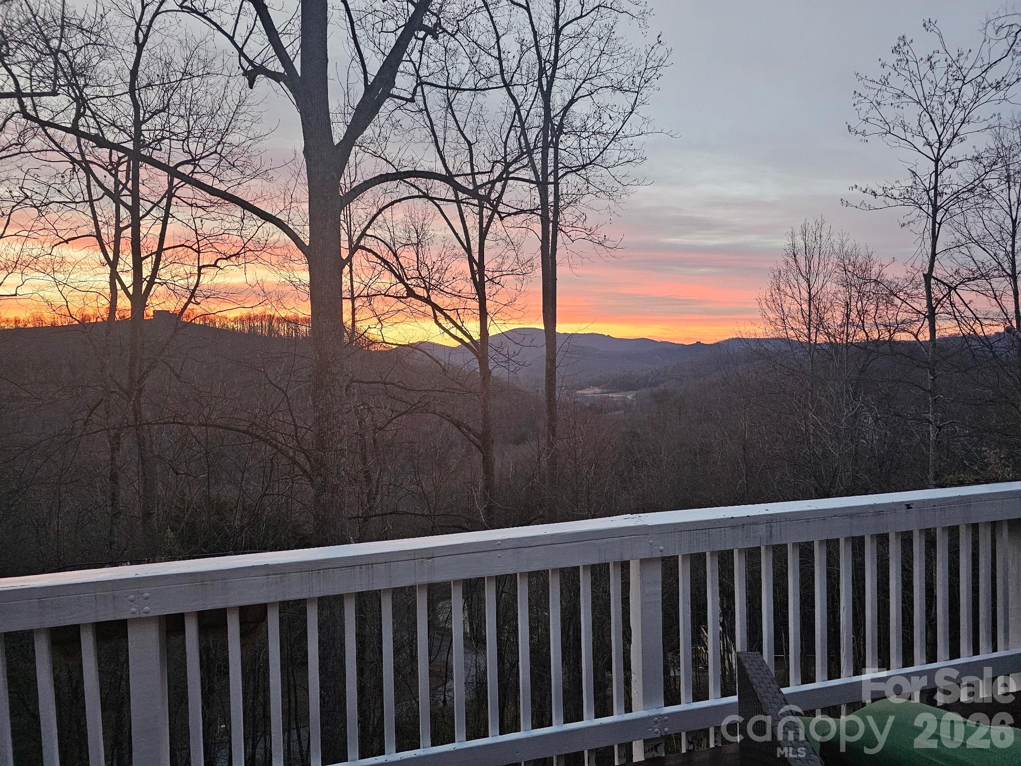 Photos provided by the homeowners - 16 Hobe Crest, Hendersonville