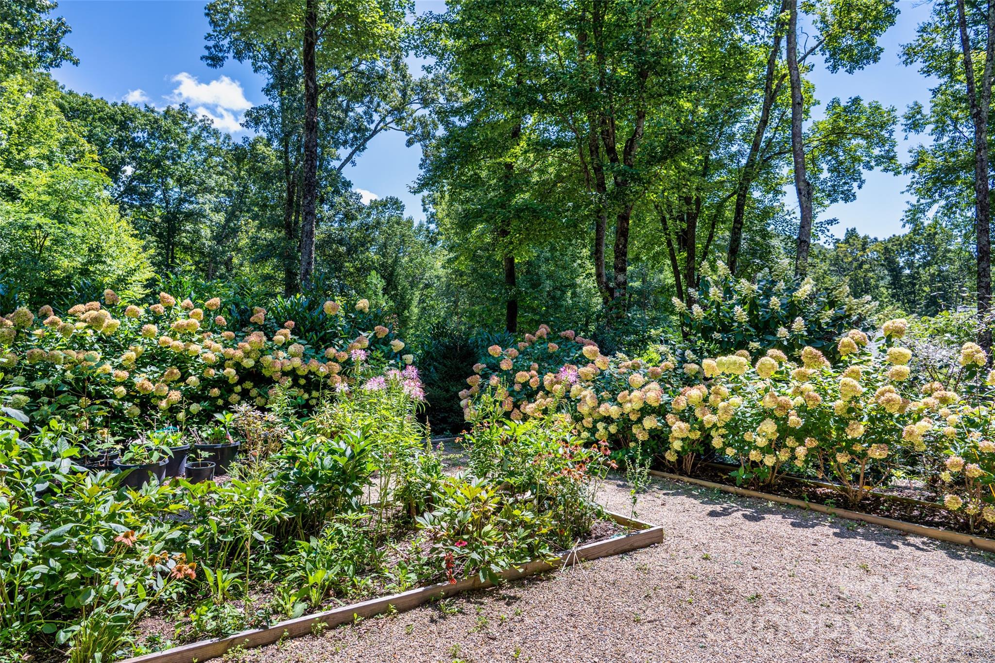 Mature lanscaping and flowers abound - 442 Autumn Sky Drive, Hendersonville