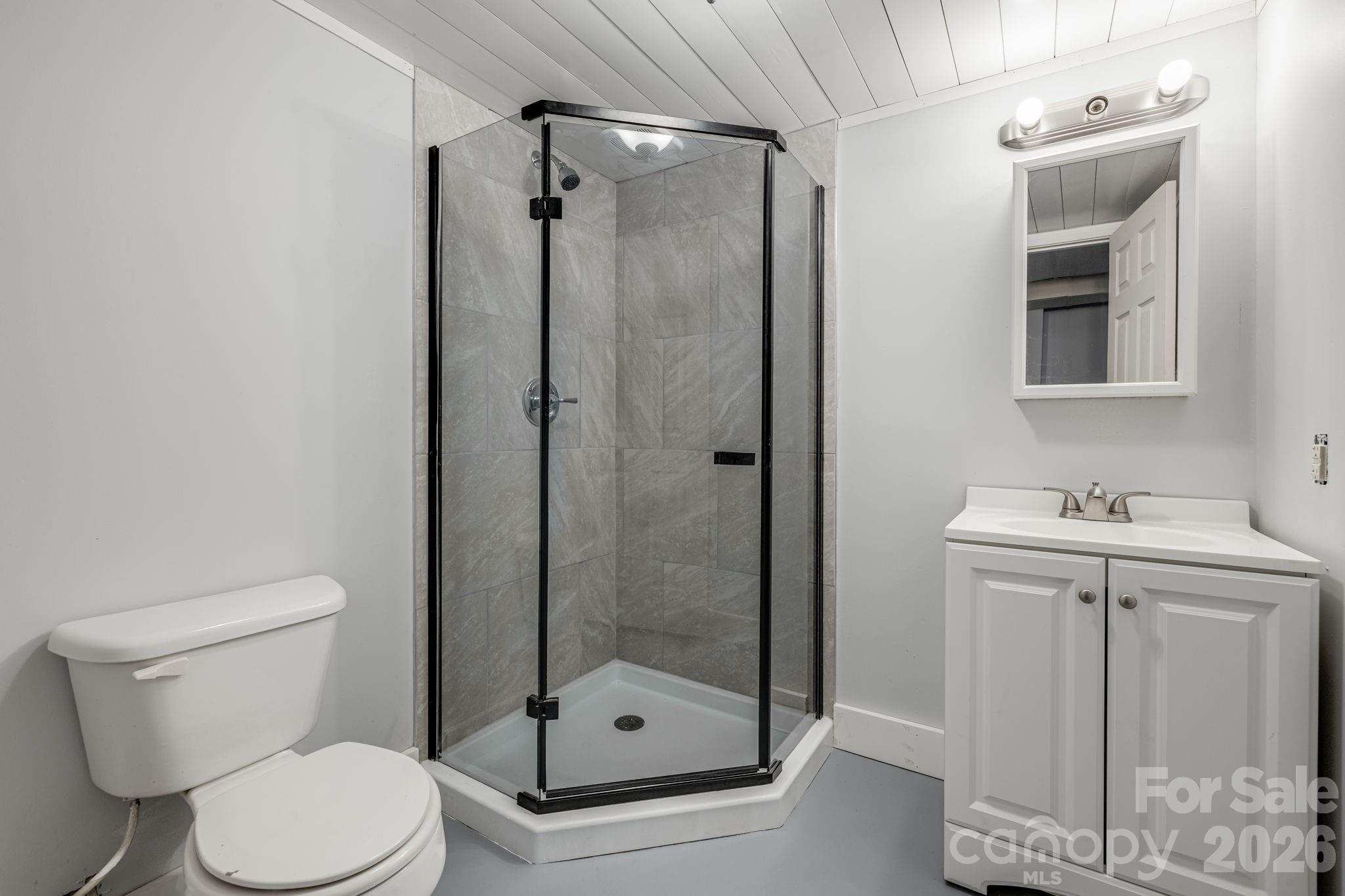 basement bathroom - 25 Hickory Tree Road, Asheville