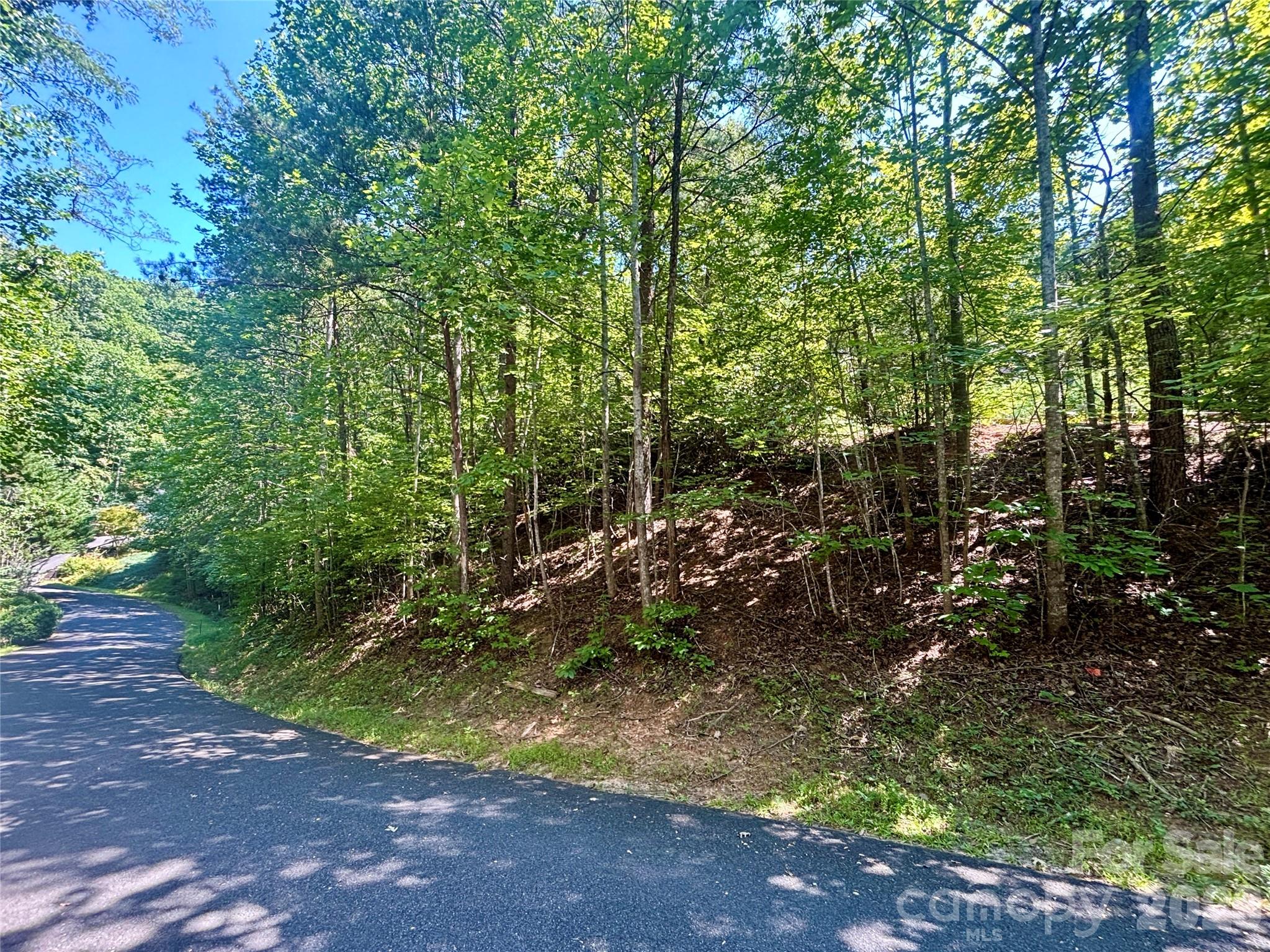 Lot at Lot 77 Winesap Boulevard, Lake Lure