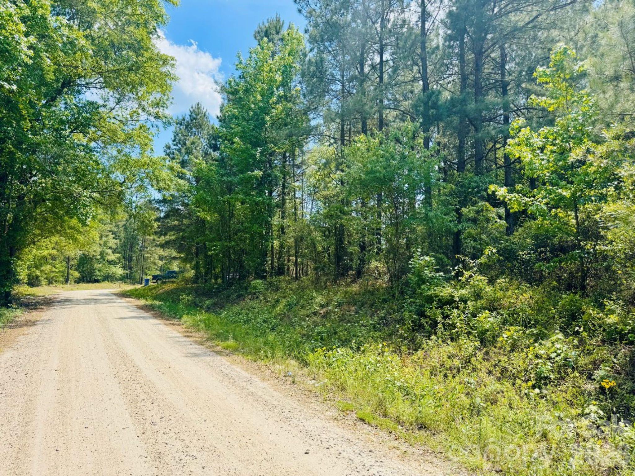 Lot at 385 Elbert Baskins Road, Cheraw, photo 5 of 11