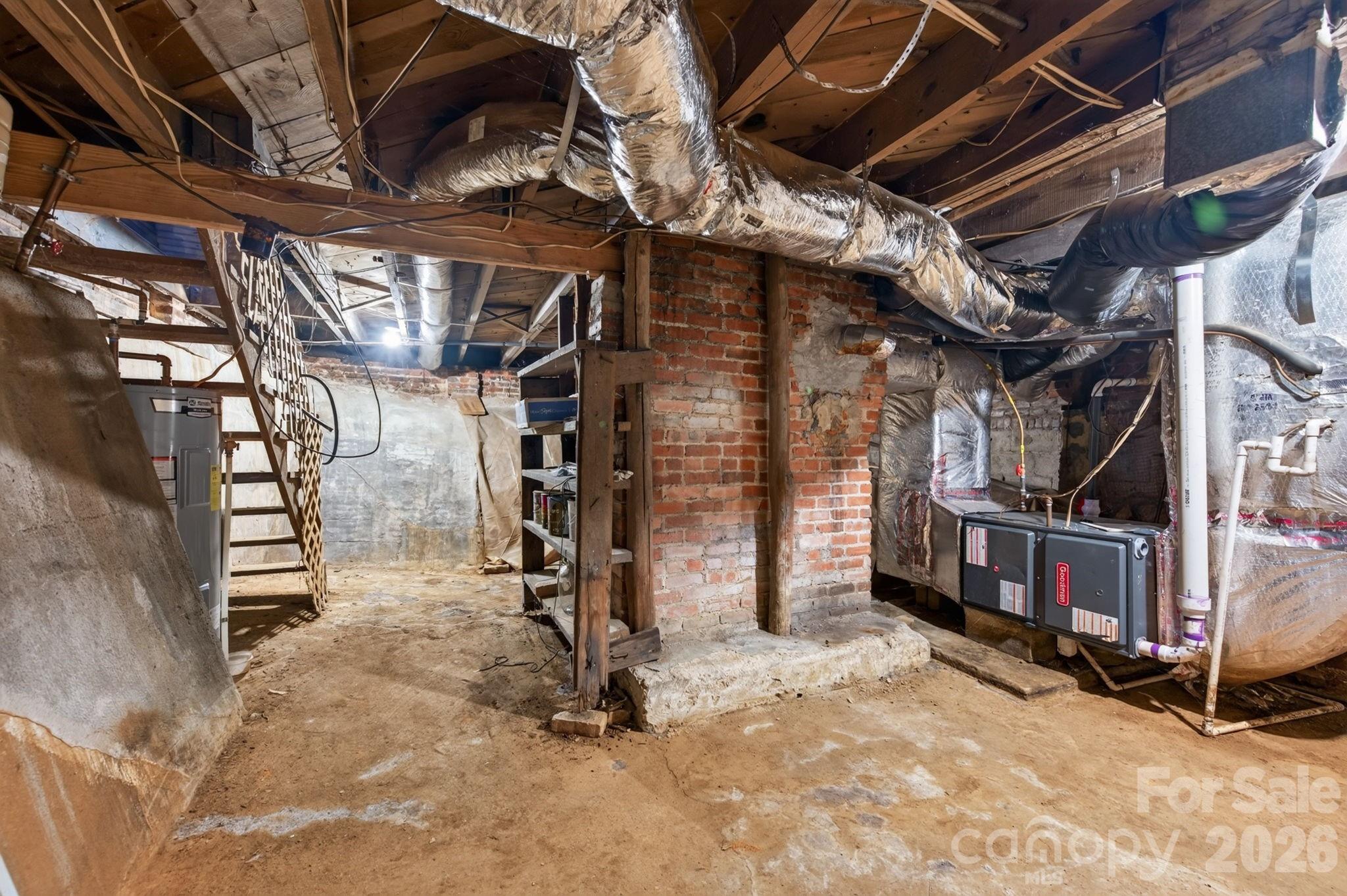 Basement - 203 Pennsylvania Avenue, Asheville