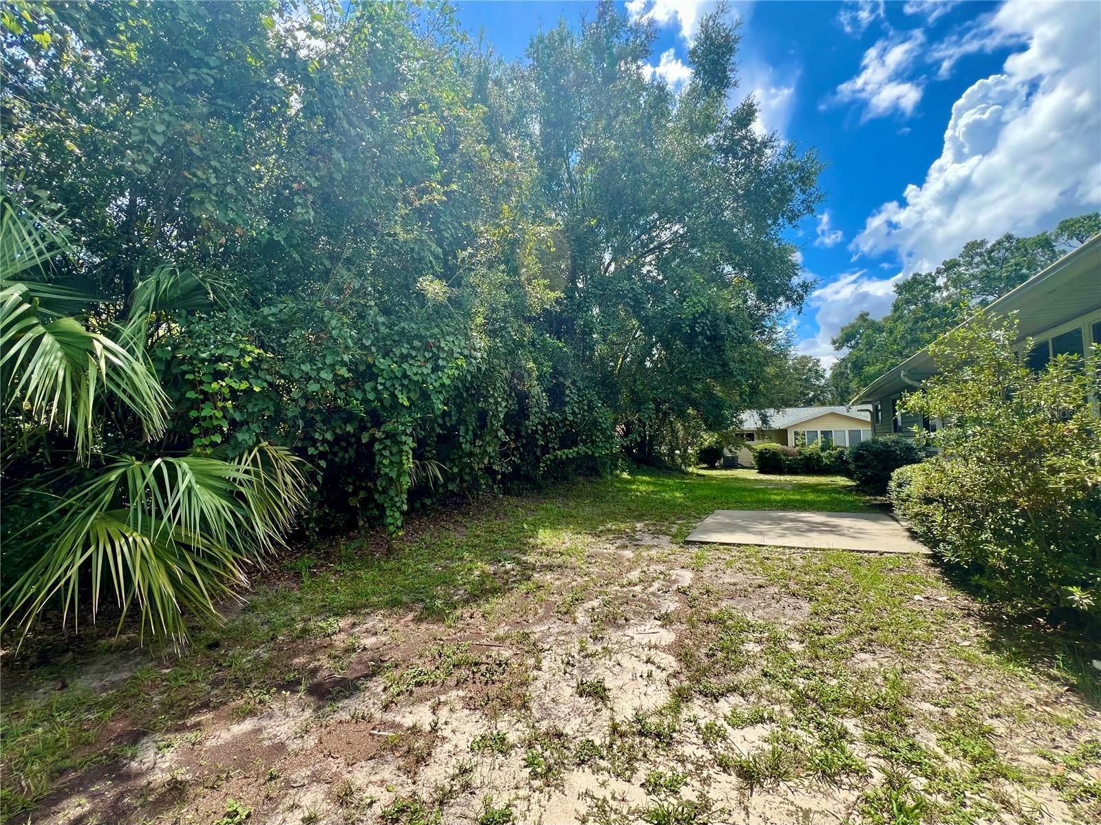 Private backyard - 10891 SW 89TH AVE, OCALA