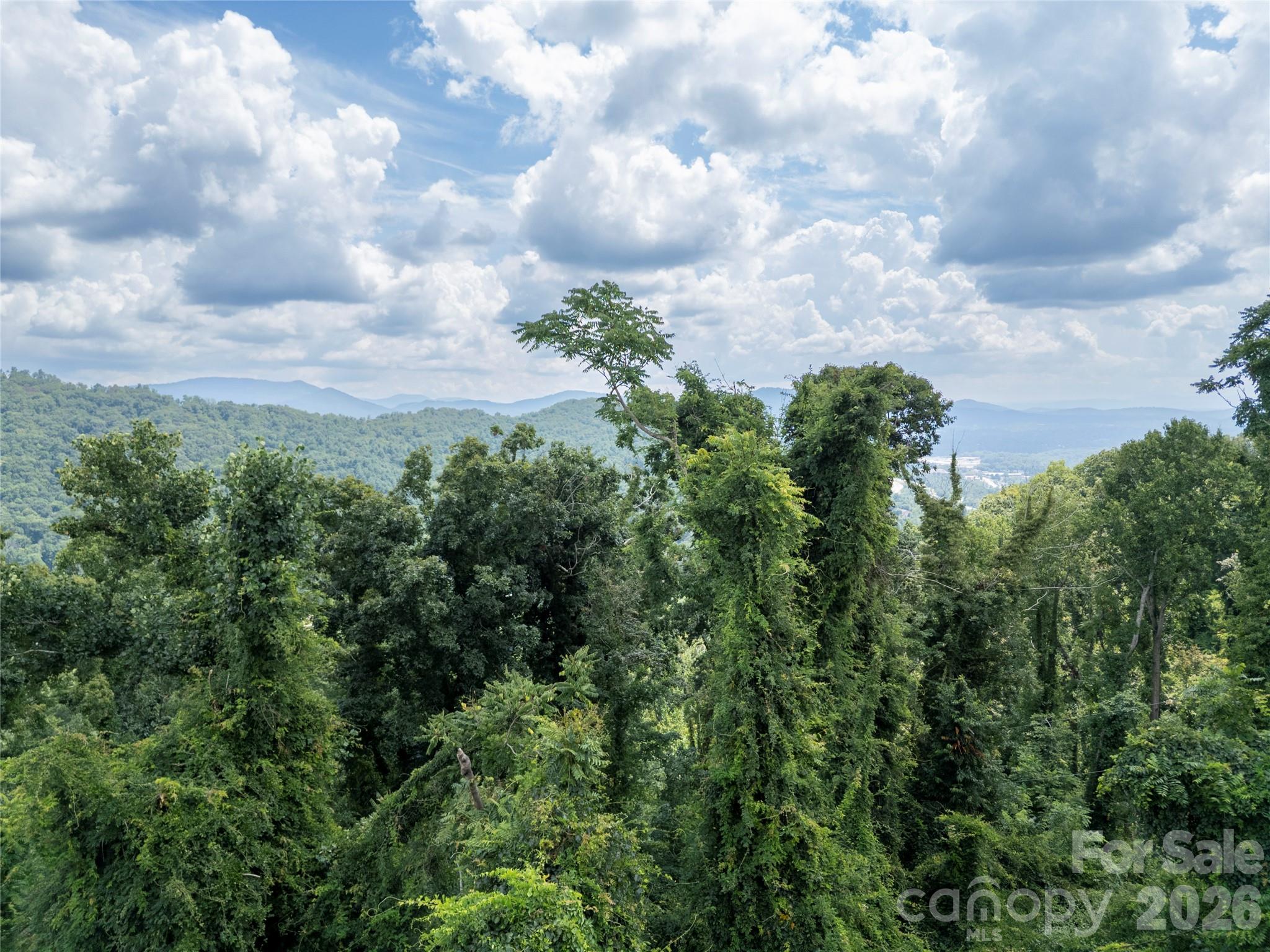 Condominium at 647 Town Mountain Road, Asheville, photo 20 of 24
