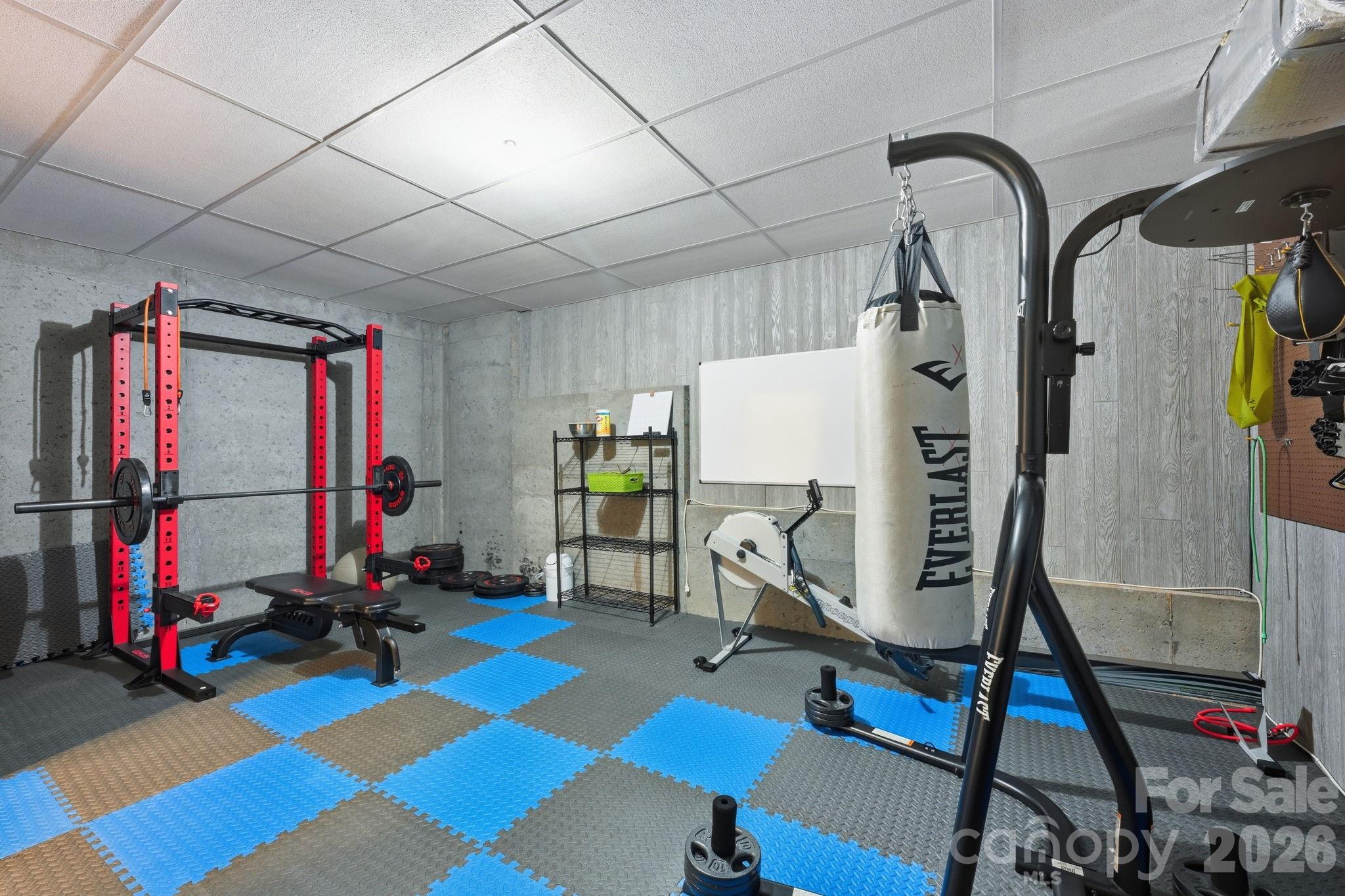 Fitness/Exercise Room in Basement - 121 E Callicutt Trail, Mooresville