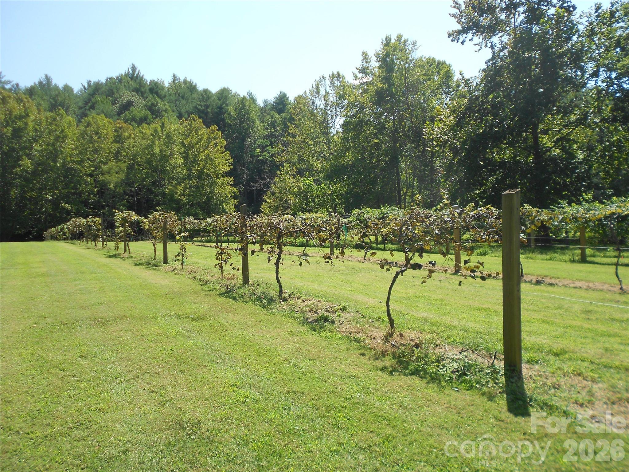 Lot at 0000 Johns Ridge Parkway, Lenoir, photo 12 of 32