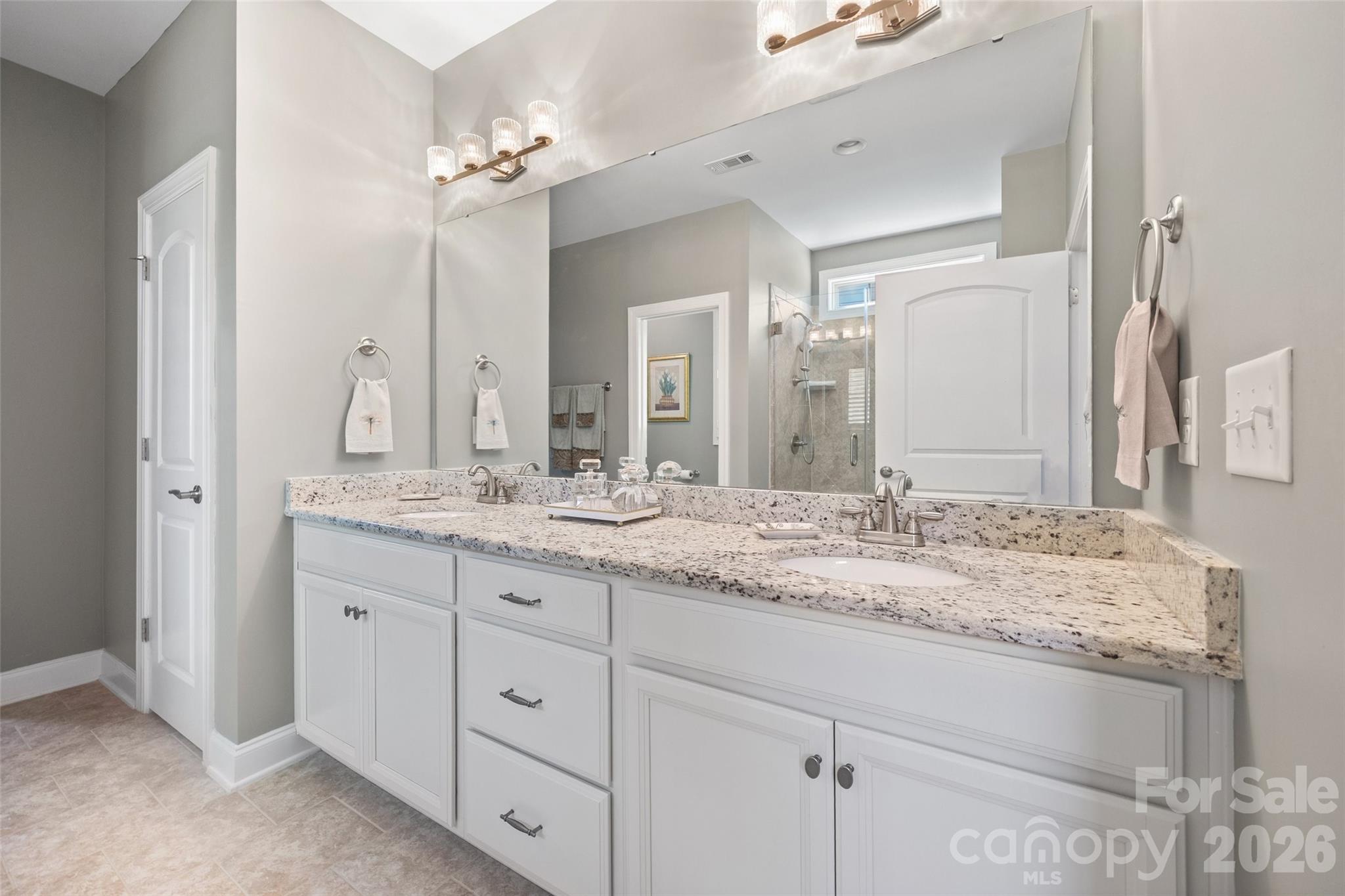 Primary vanity - 420 Trillium Way, Belmont