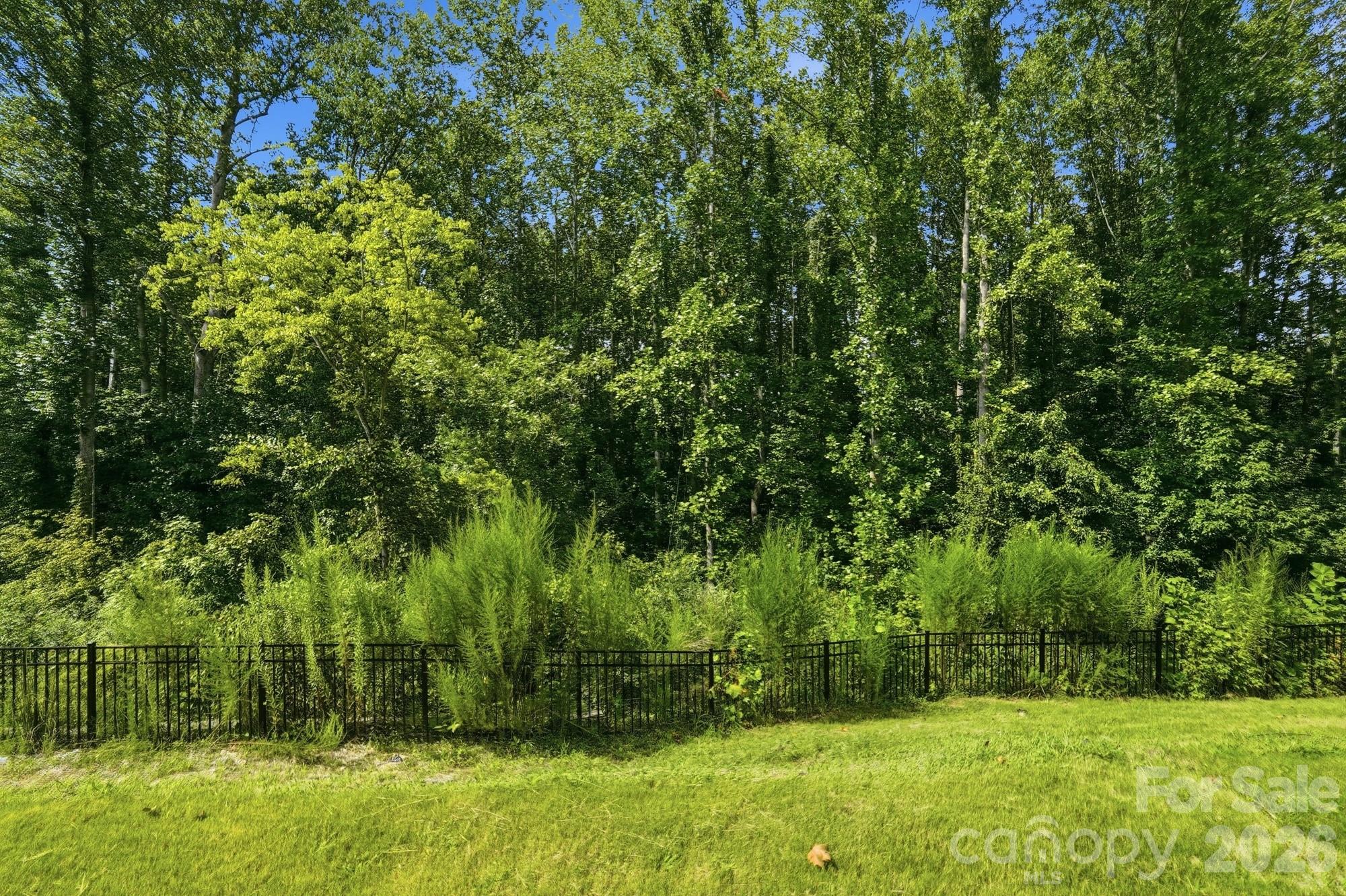 Back yard area - 5965 Granbury Drive, Kannapolis