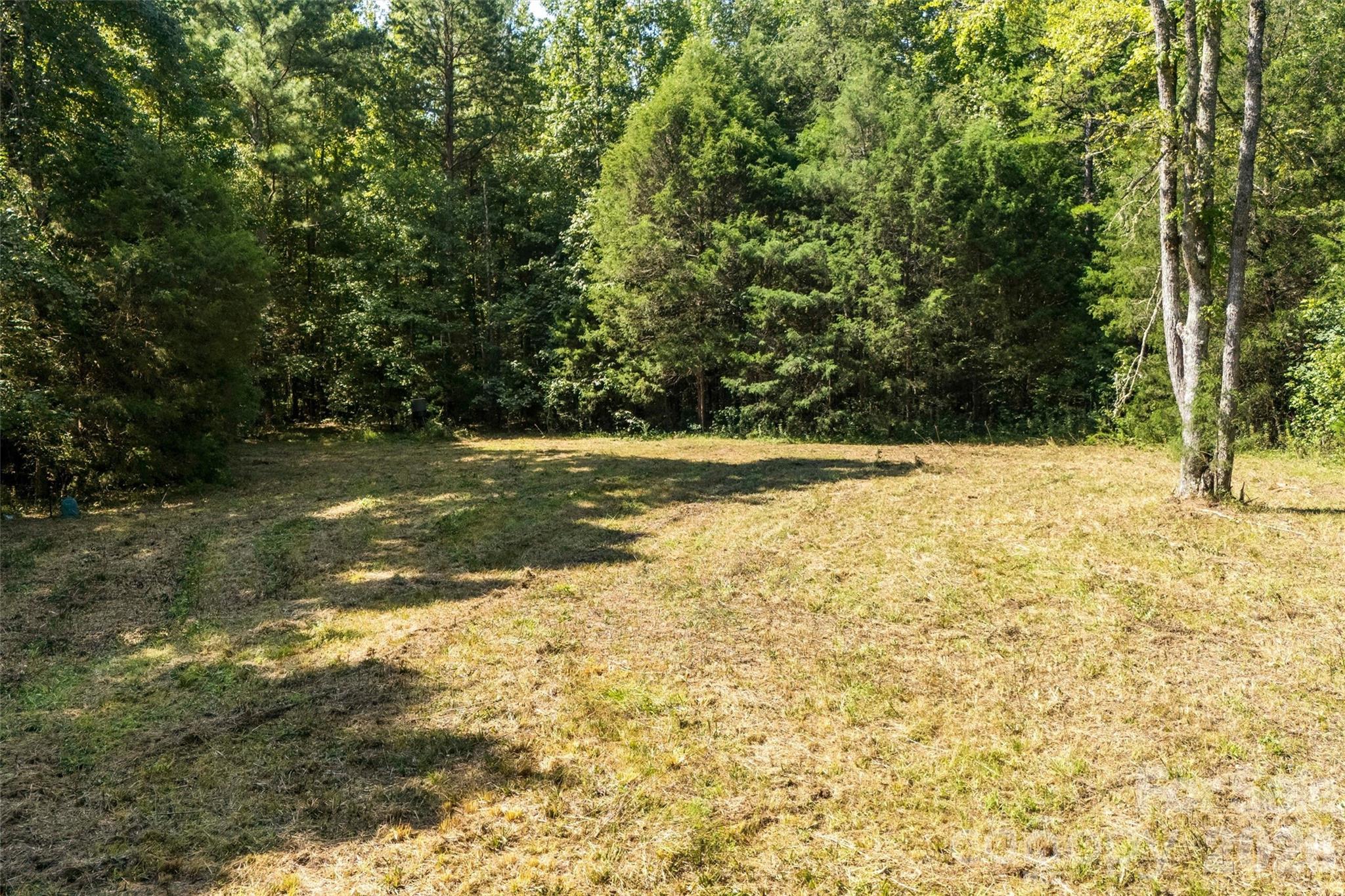 Open area #2 for potential home site - 00 Old Bradshaw Road, Salisbury
