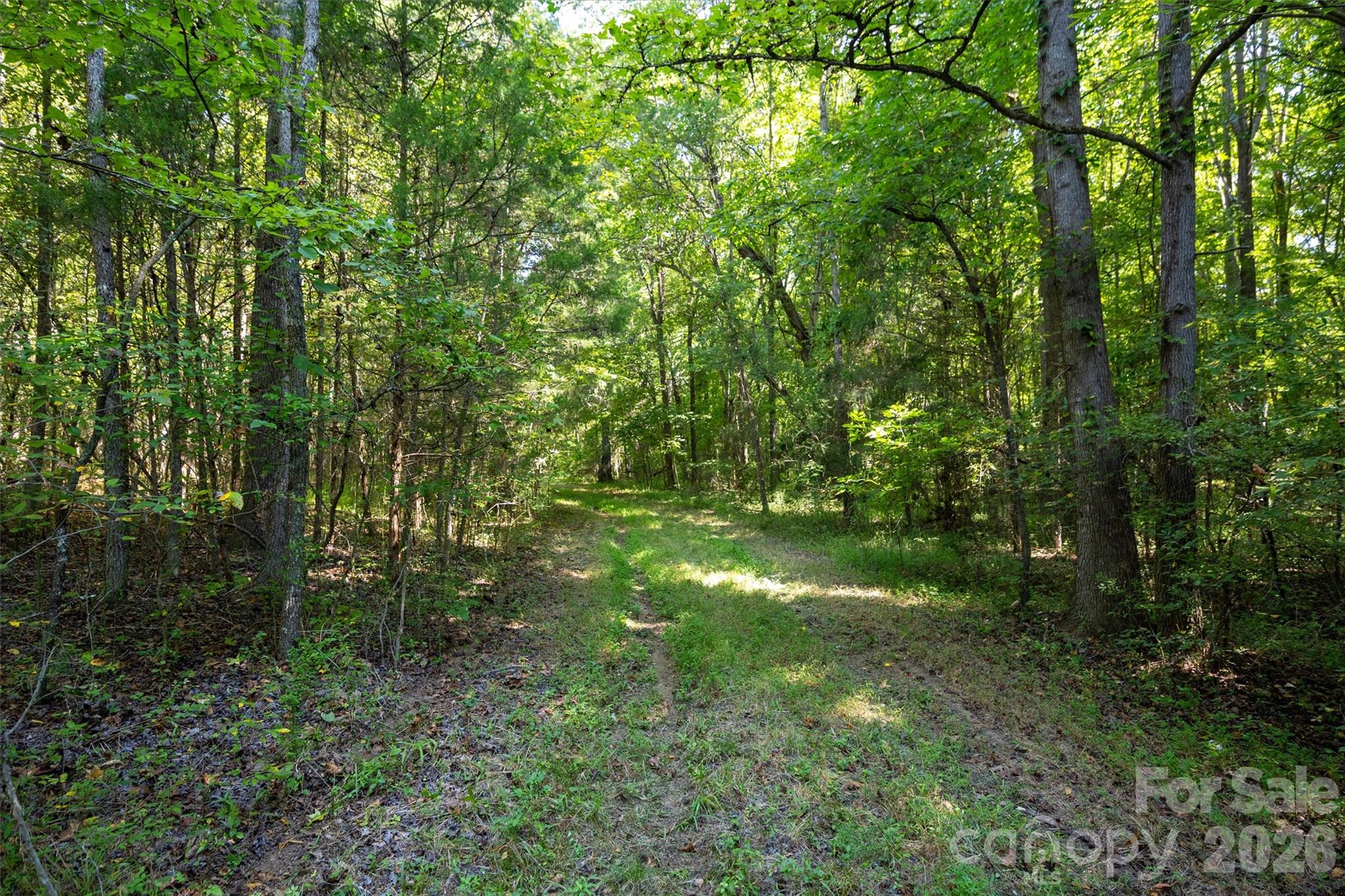 Head into the wooded area for more options and beauty! - 00 Old Bradshaw Road, Salisbury