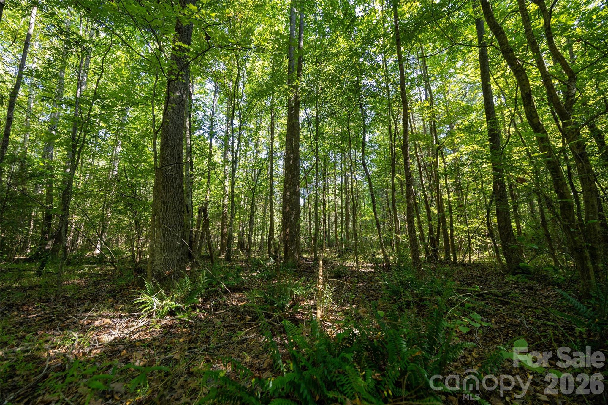 Acreage at 00 Old Bradshaw Road, Salisbury, photo 12 of 22