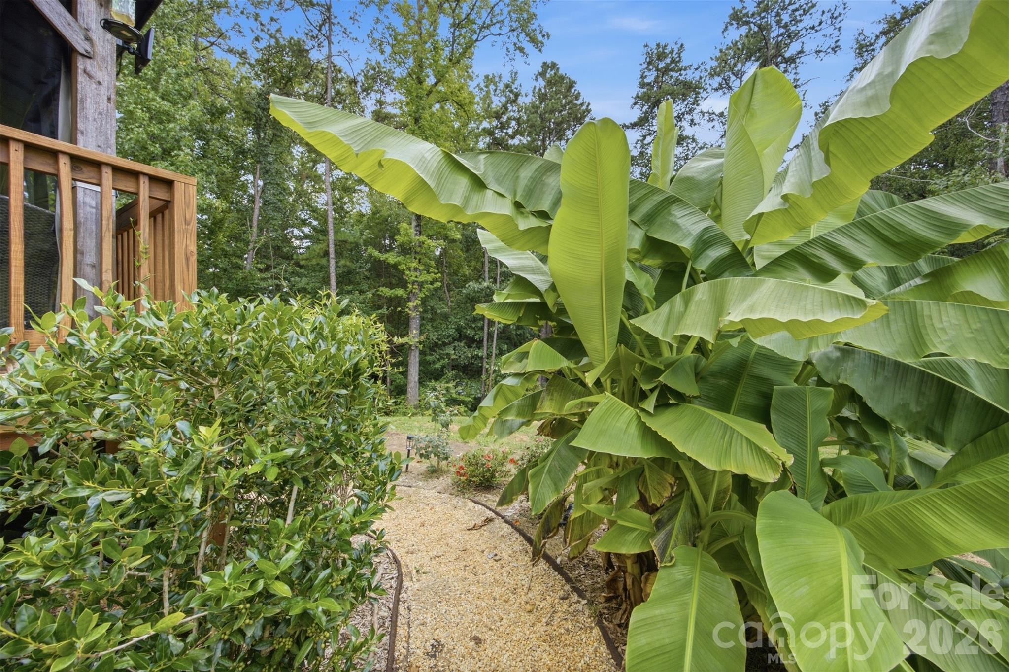 Single Family Residence at 256 Litaker Lane, Concord, photo 33 of 43