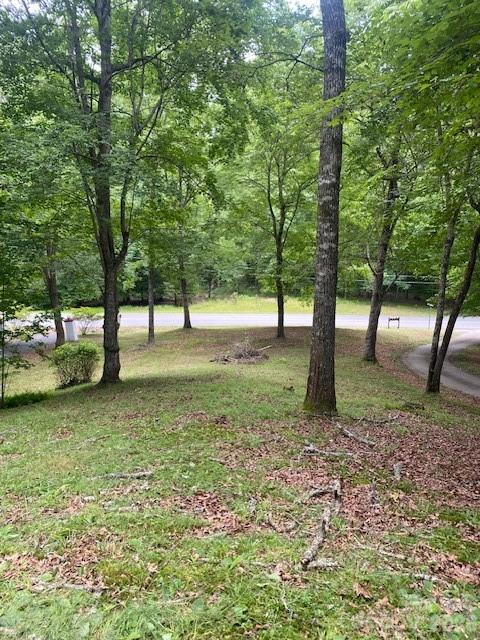 Single Family Residence at 60 Hundred Acre Woods, Murphy, photo 5 of 14