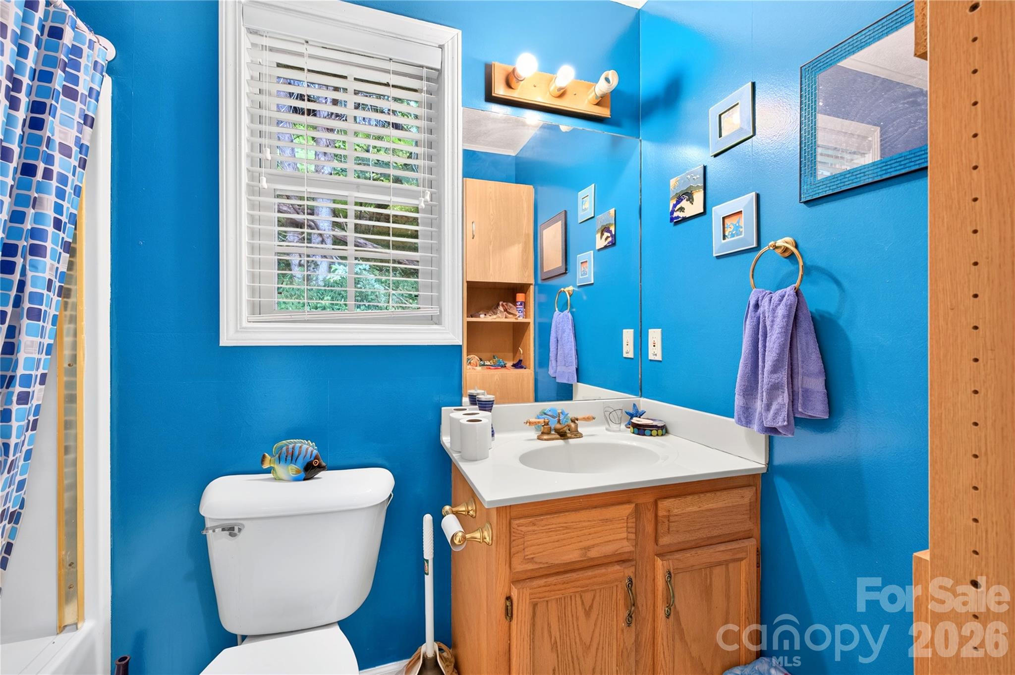 Upper guest bath - 791 Mckinney Road, Burnsville