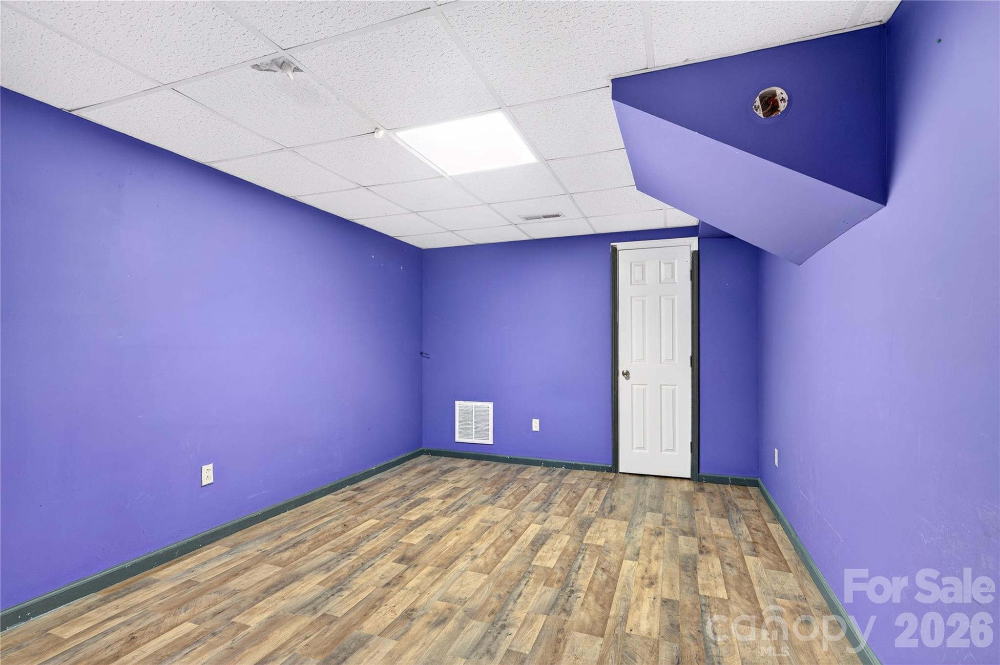 Lower level bedroom / living space - 791 Mckinney Road, Burnsville
