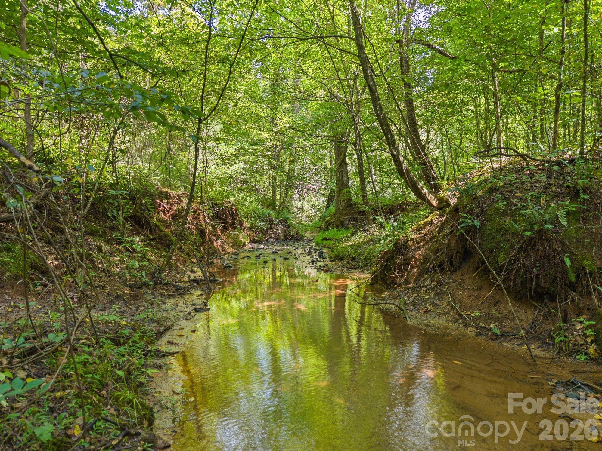 Acreage at 00 Chilly Bowl Road, Rutherfordton, photo 2 of 18
