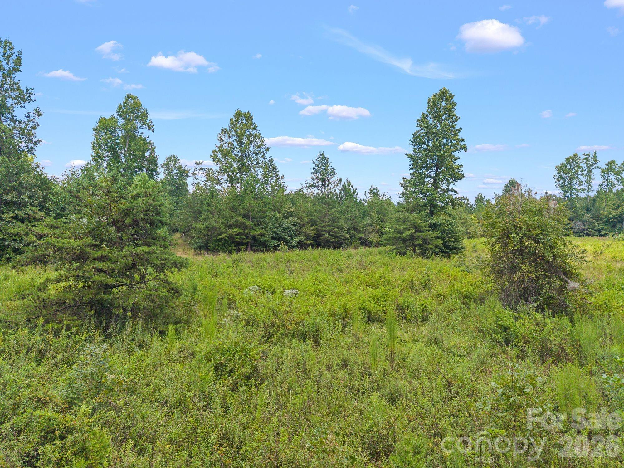 Acreage at 00 Chilly Bowl Road, Rutherfordton, photo 3 of 18