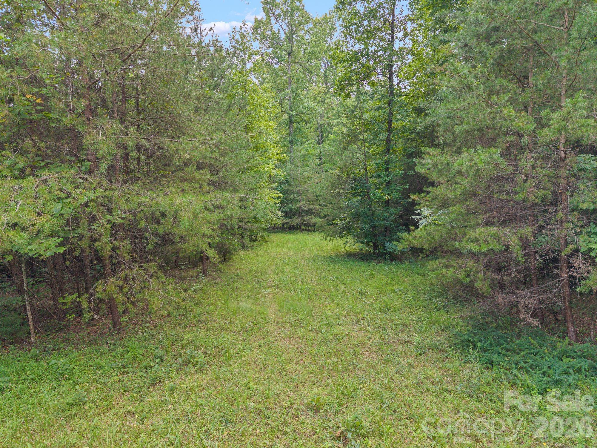 Acreage at 00 Chilly Bowl Road, Rutherfordton, photo 4 of 18