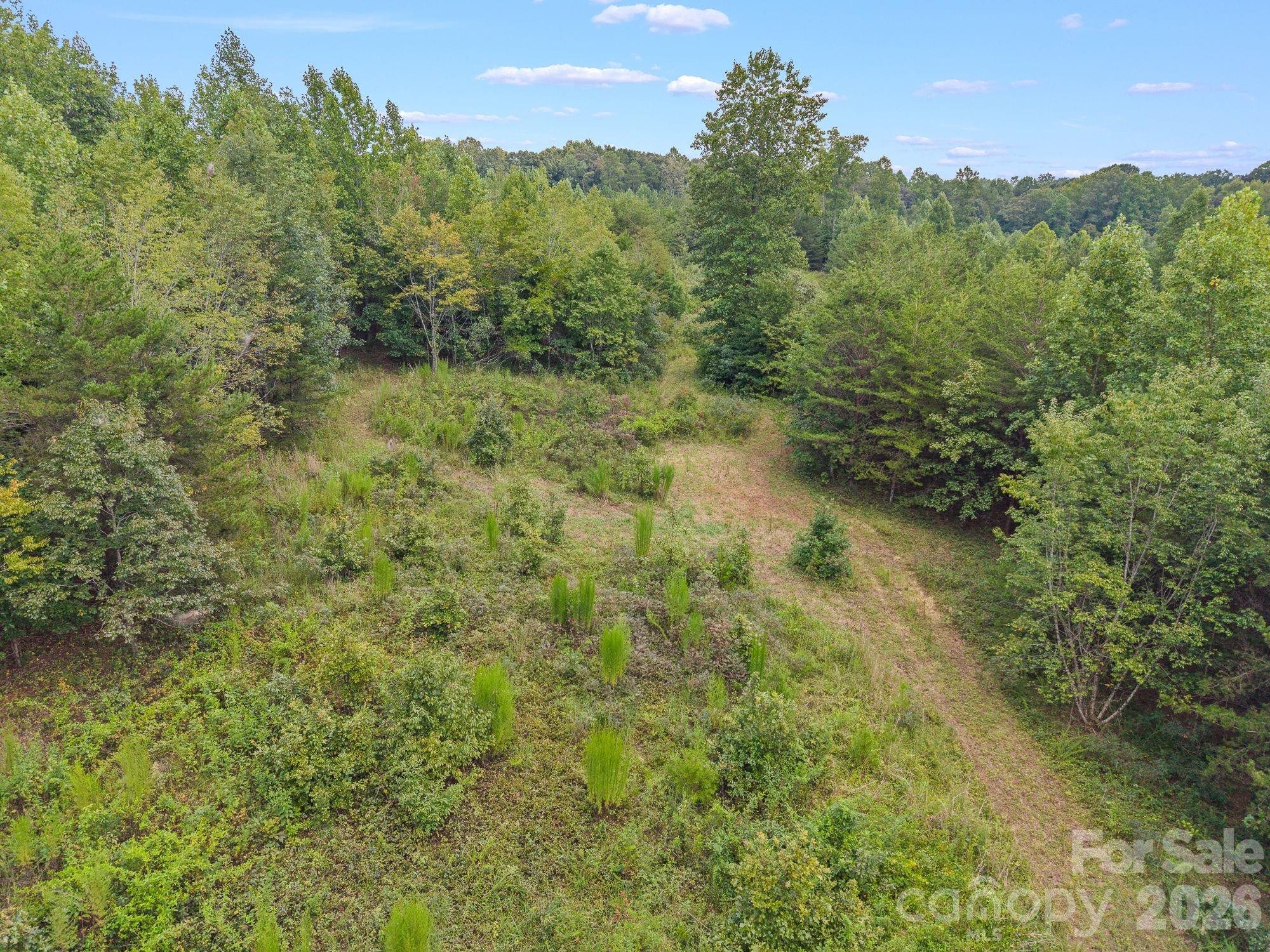 Acreage at 00 Chilly Bowl Road, Rutherfordton, photo 5 of 18