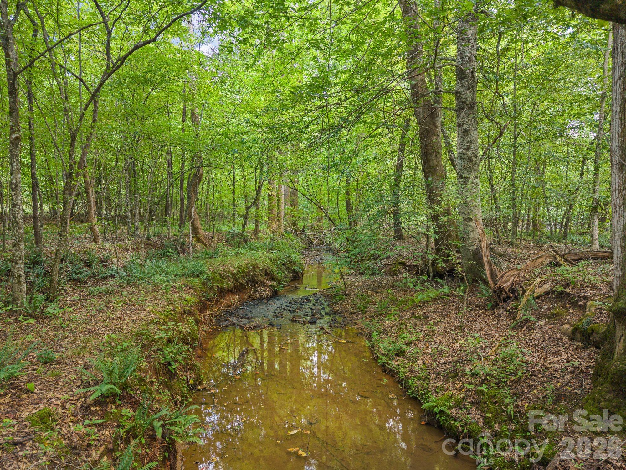 Acreage at 00 Chilly Bowl Road, Rutherfordton, photo 6 of 18