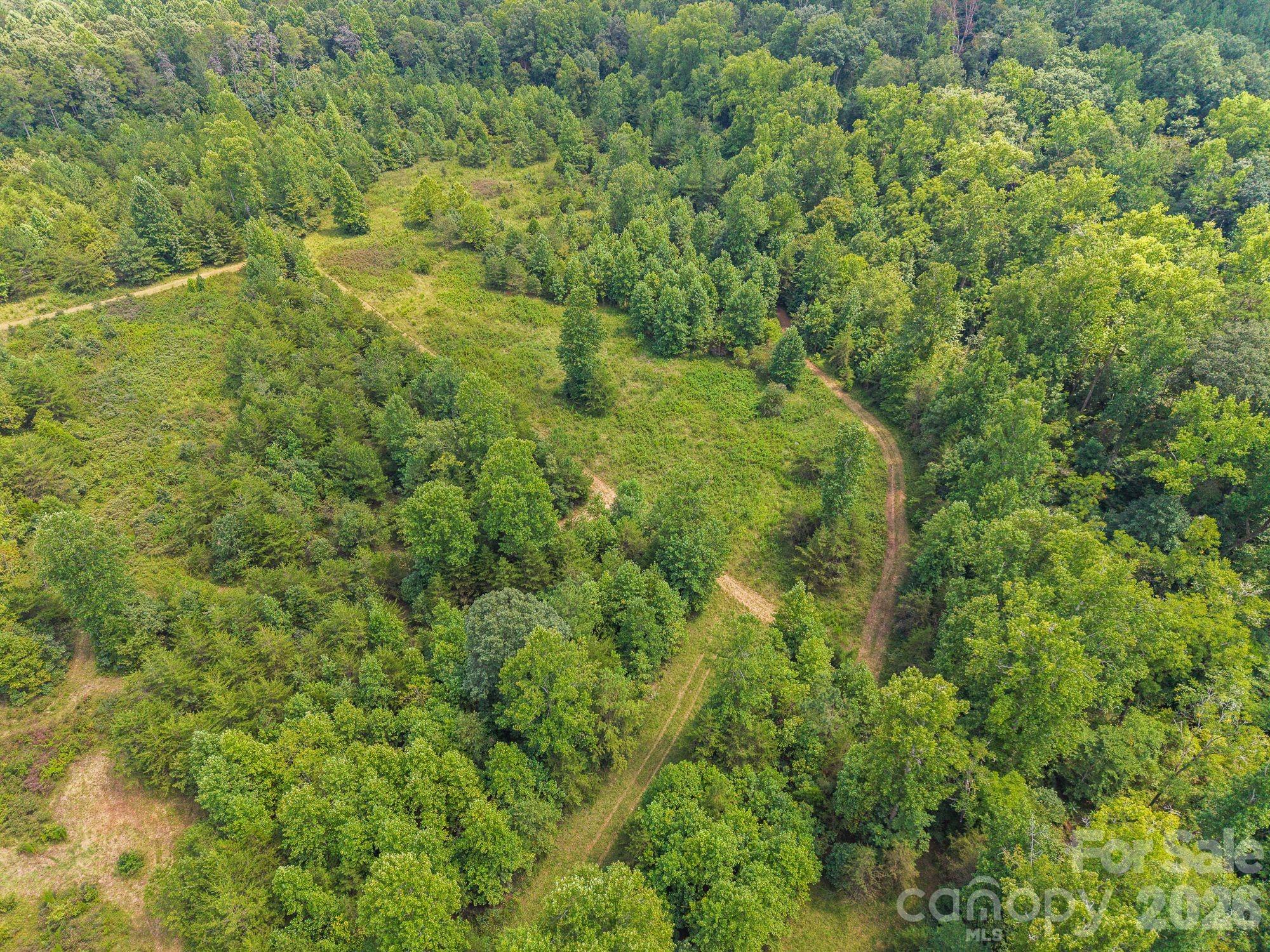 Acreage at 00 Chilly Bowl Road, Rutherfordton, photo 7 of 18