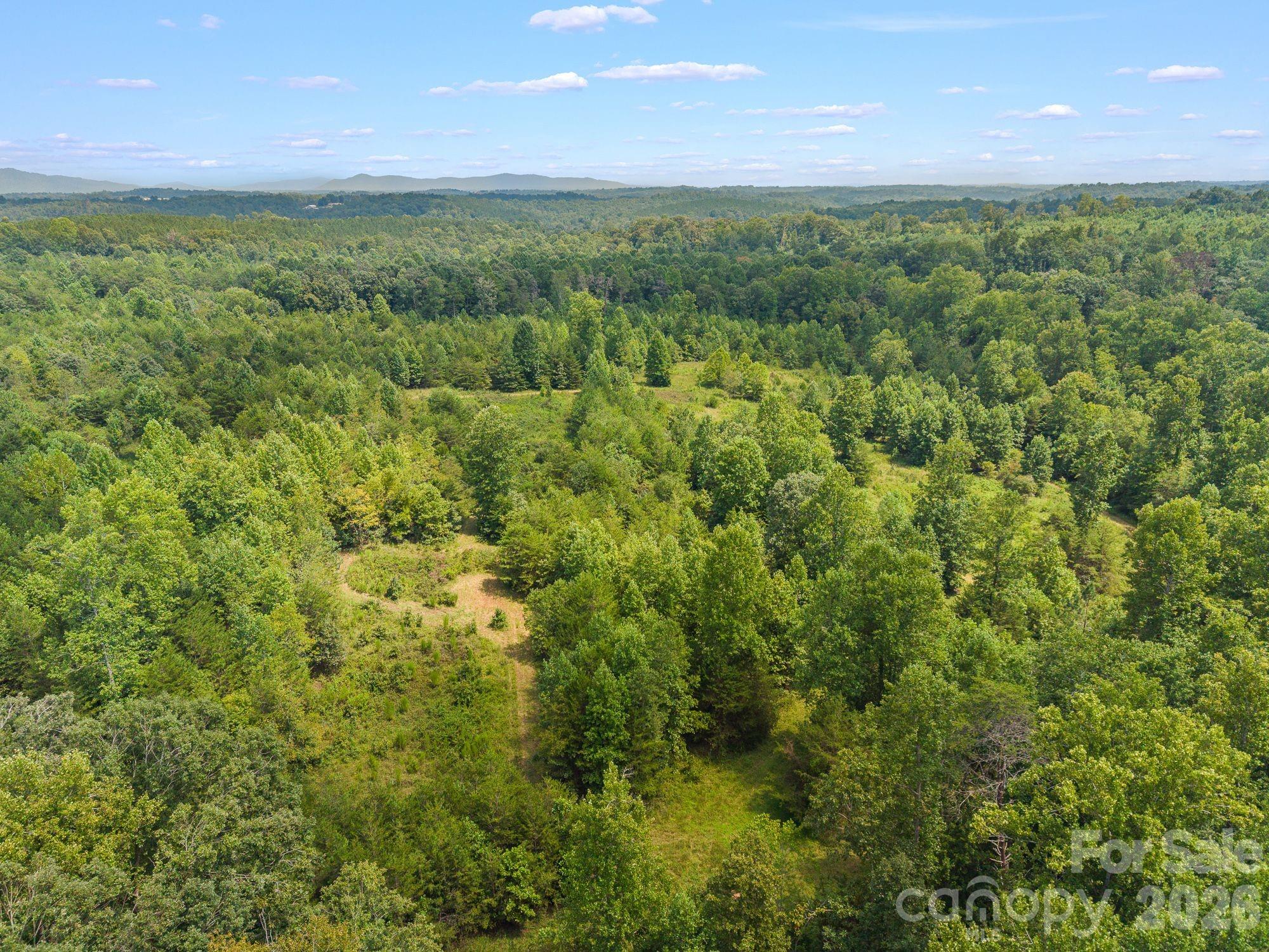 Acreage at 00 Chilly Bowl Road, Rutherfordton, photo 8 of 18