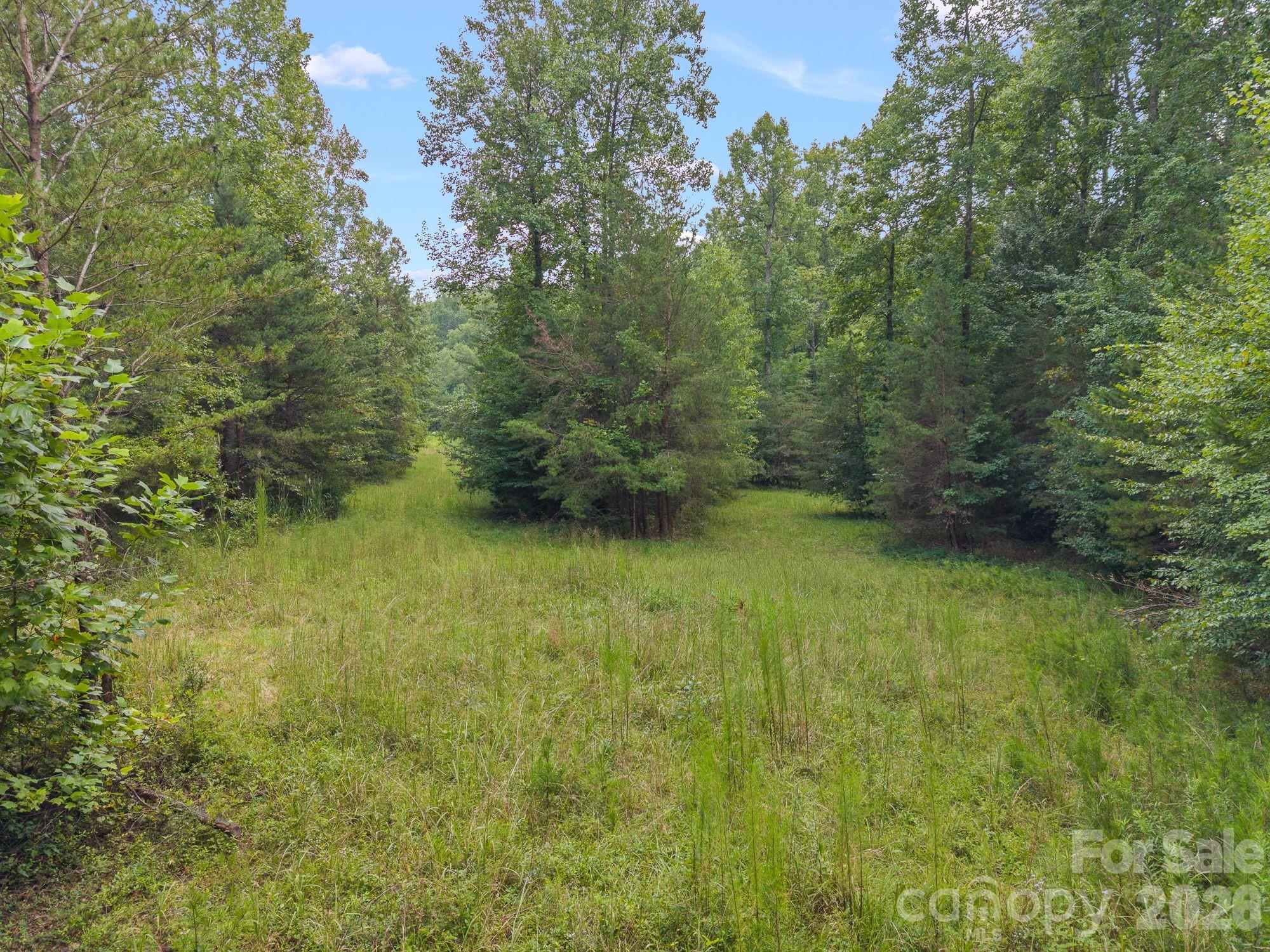 Acreage at 00 Chilly Bowl Road, Rutherfordton, photo 9 of 18