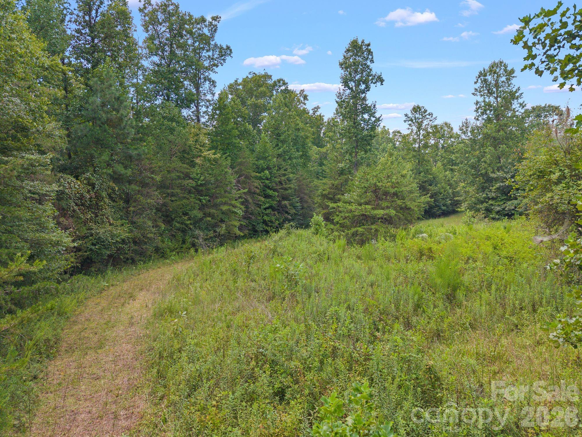 Acreage at 00 Chilly Bowl Road, Rutherfordton, photo 10 of 18