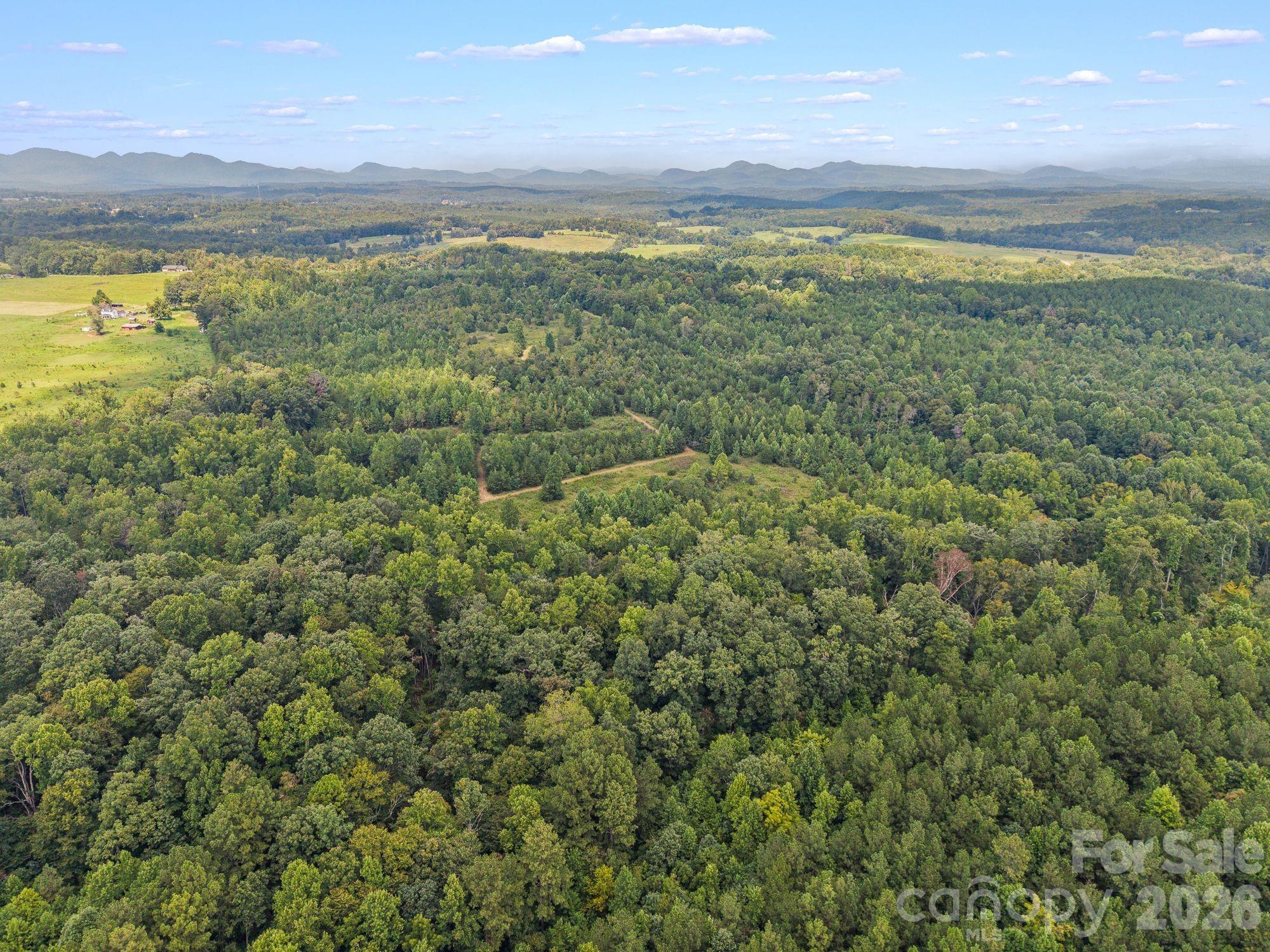 Acreage at 00 Chilly Bowl Road, Rutherfordton, photo 12 of 18