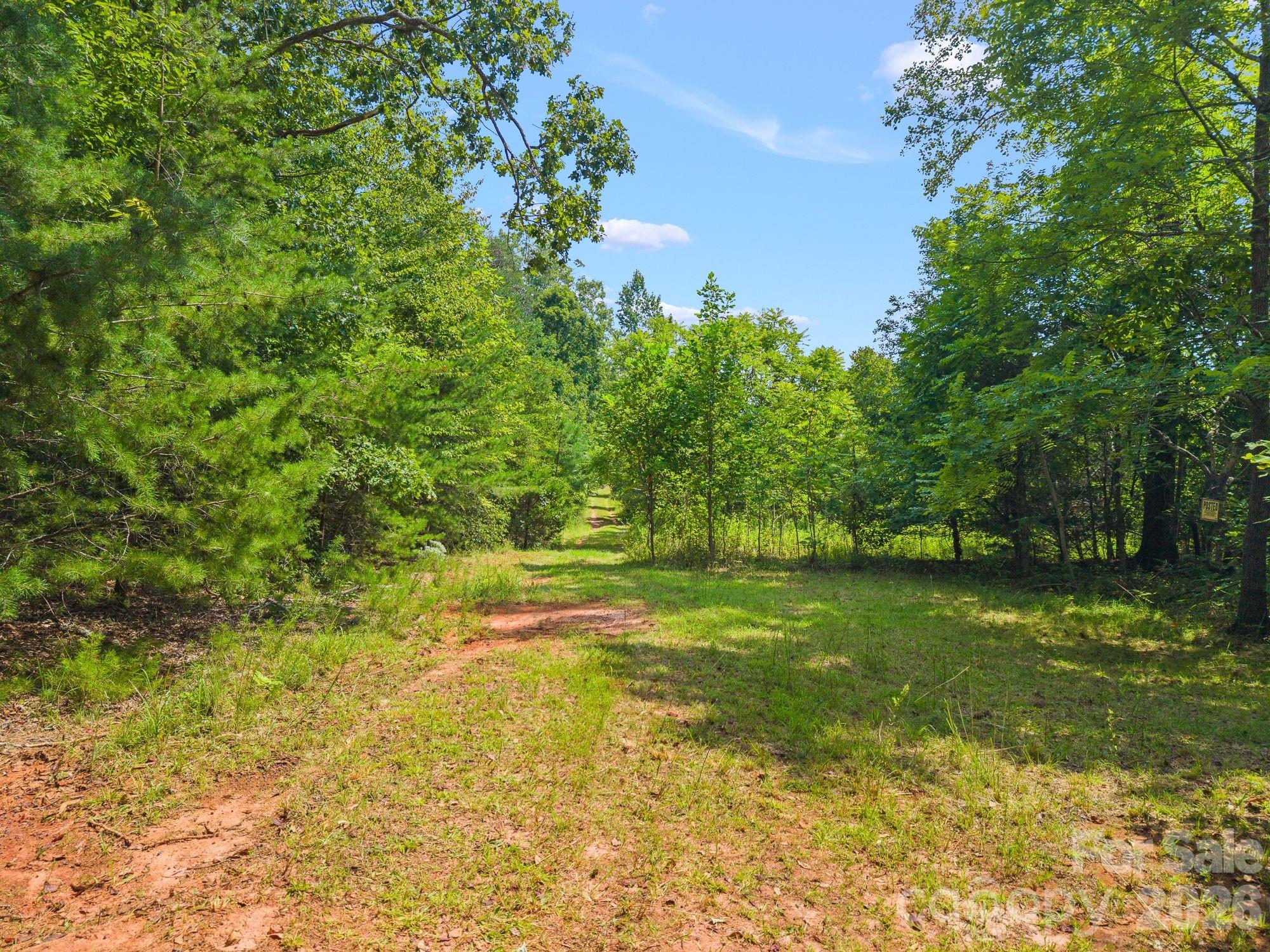Acreage at 00 Chilly Bowl Road, Rutherfordton, photo 13 of 18