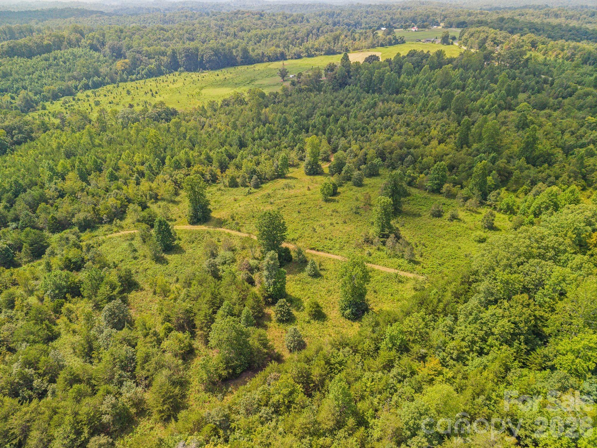 Acreage at 00 Chilly Bowl Road, Rutherfordton, photo 16 of 18