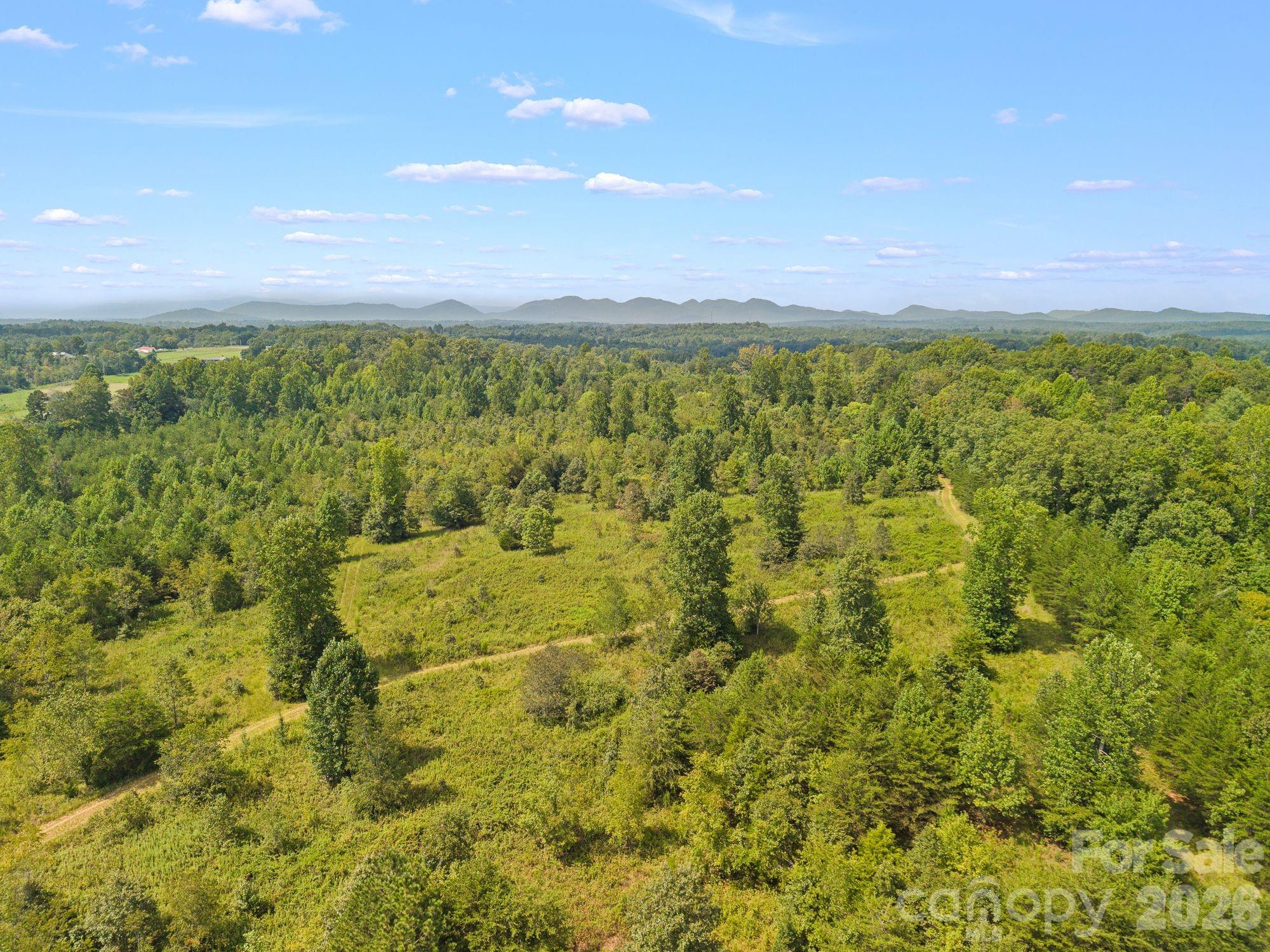 Acreage at 00 Chilly Bowl Road, Rutherfordton, photo 18 of 18