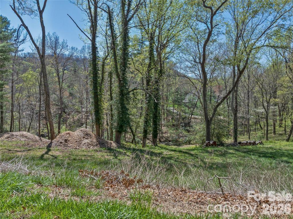 99999 Running Creek Trail