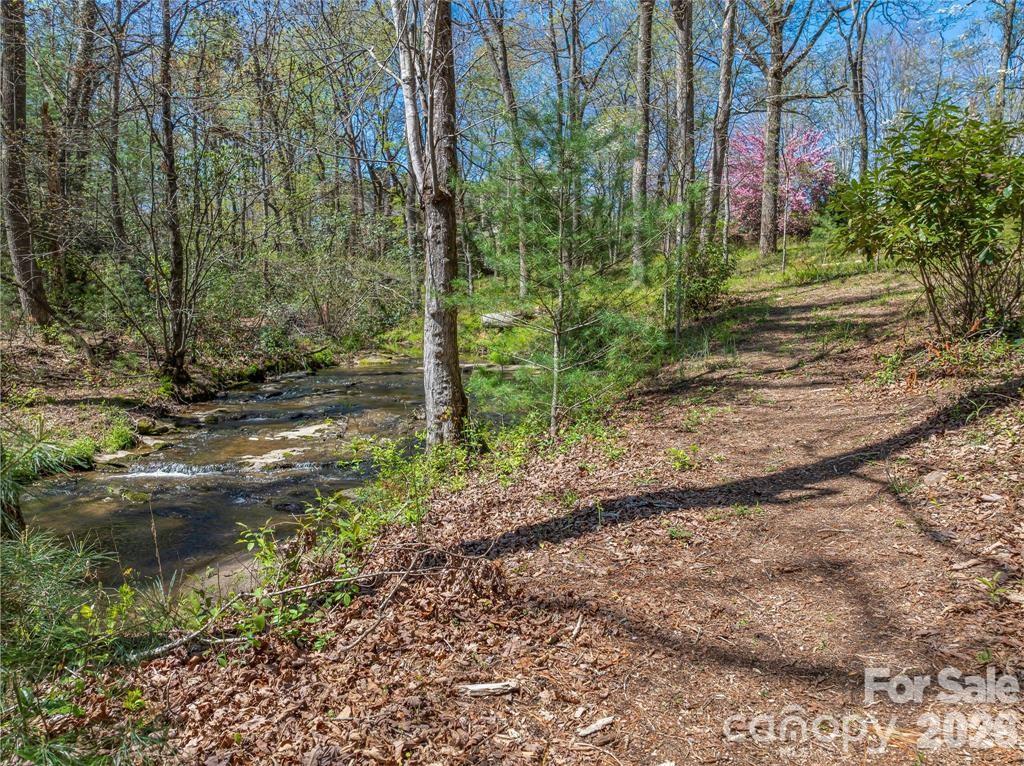 Lot at 99999 Running Creek Trail, Arden, photo 10 of 21
