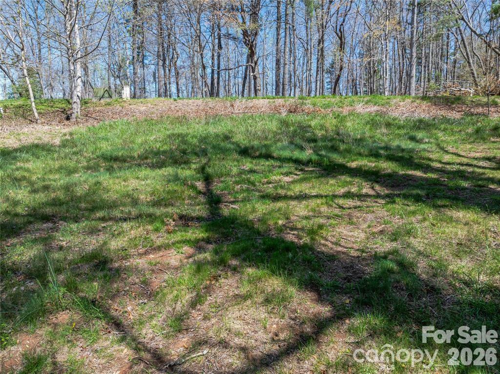 Lot at 99999 Running Creek Trail, Arden, photo 11 of 21