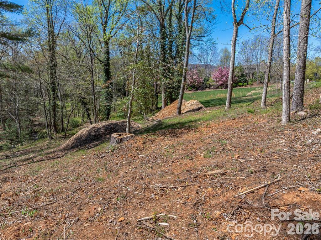 Lot at 99999 Running Creek Trail, Arden, photo 13 of 21