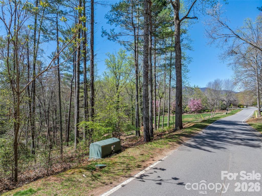 Lot at 99999 Running Creek Trail, Arden, photo 15 of 21