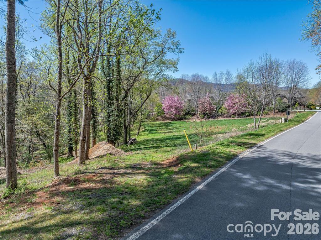 Lot at 99999 Running Creek Trail, Arden, photo 18 of 21