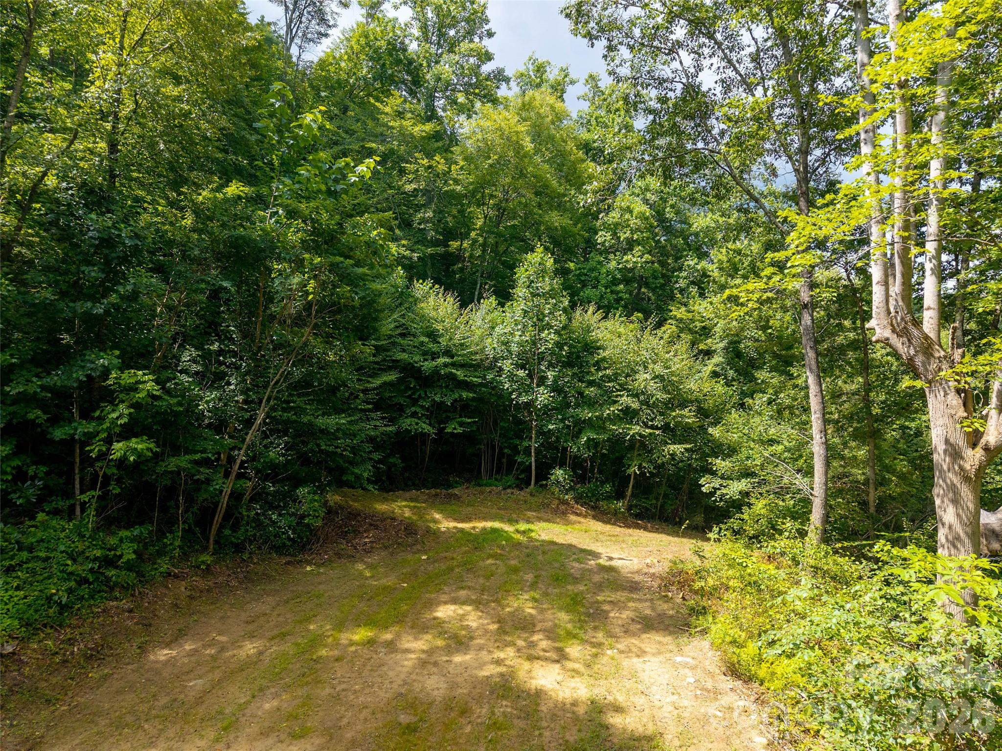 Acreage at 00 Sugar Cove Road, Clyde, photo 7 of 16