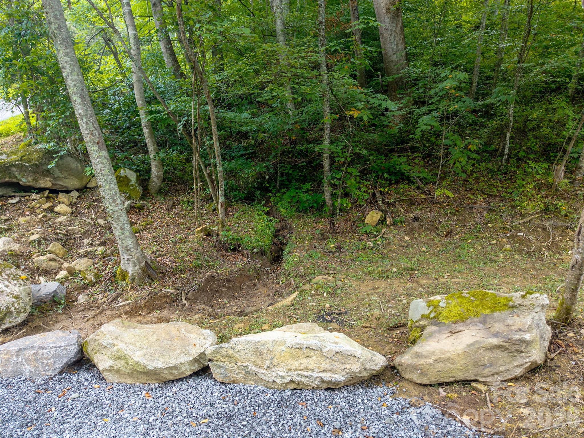 Acreage at 00 Sugar Cove Road, Clyde, photo 15 of 16